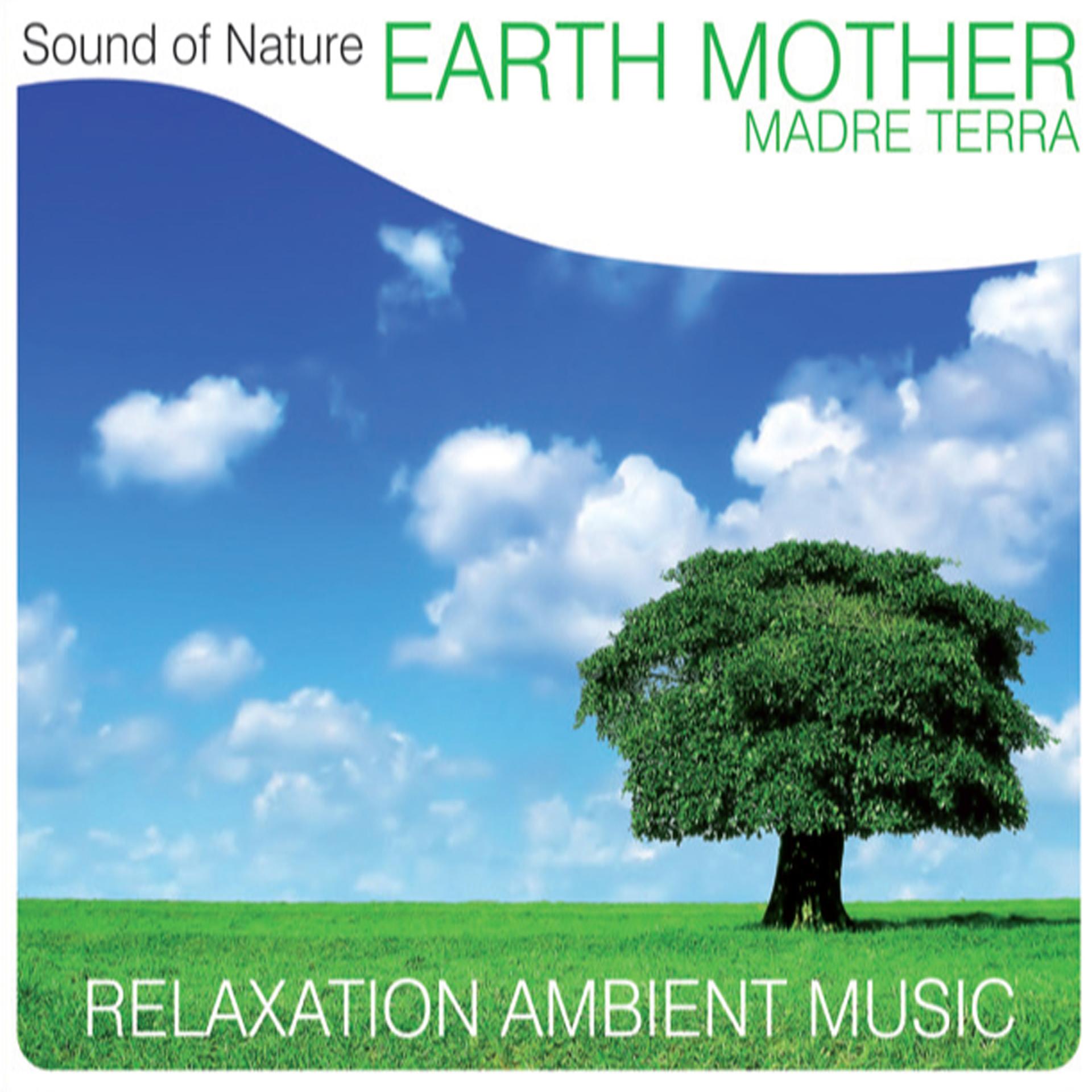 Постер альбома Earth Mother (Madre terra)