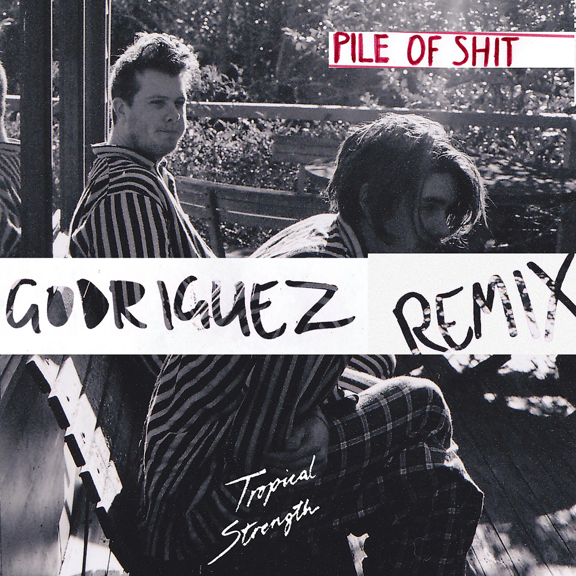 Постер альбома Pile of Shit (Godriguez Remix)