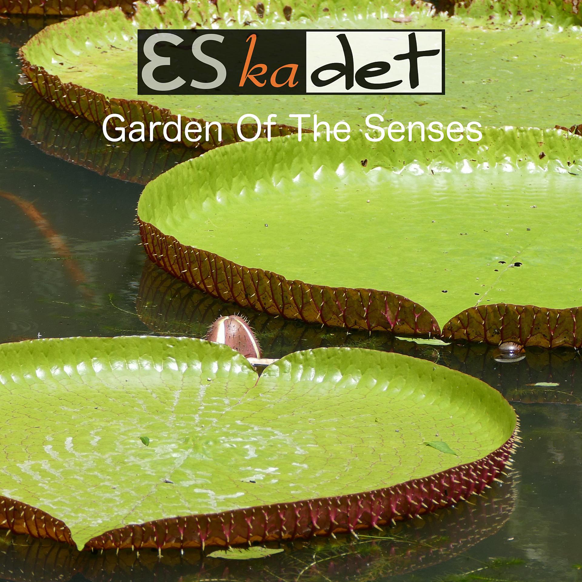 Постер альбома Garden of the Senses