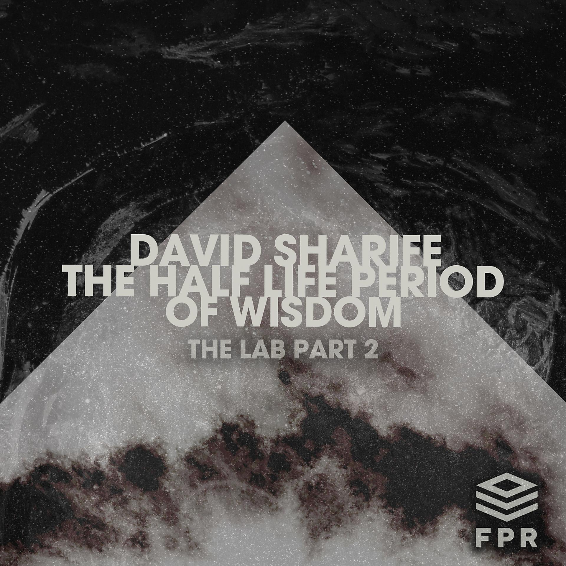 Постер альбома The Half Life Period of Wisdom - The Lab Part 2