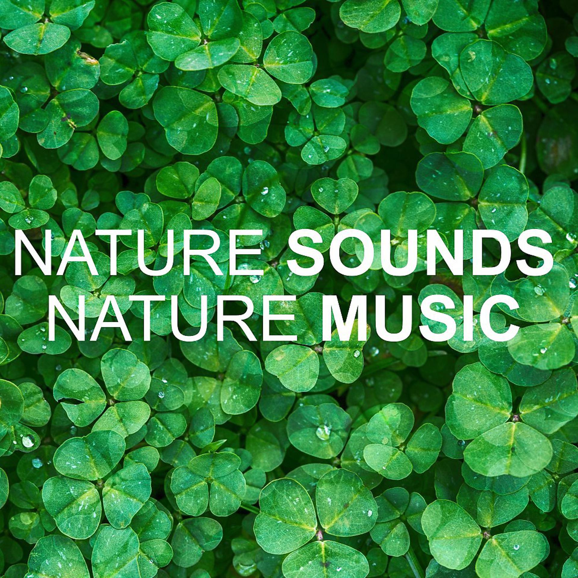 Постер альбома Nature Sounds Nature Music
