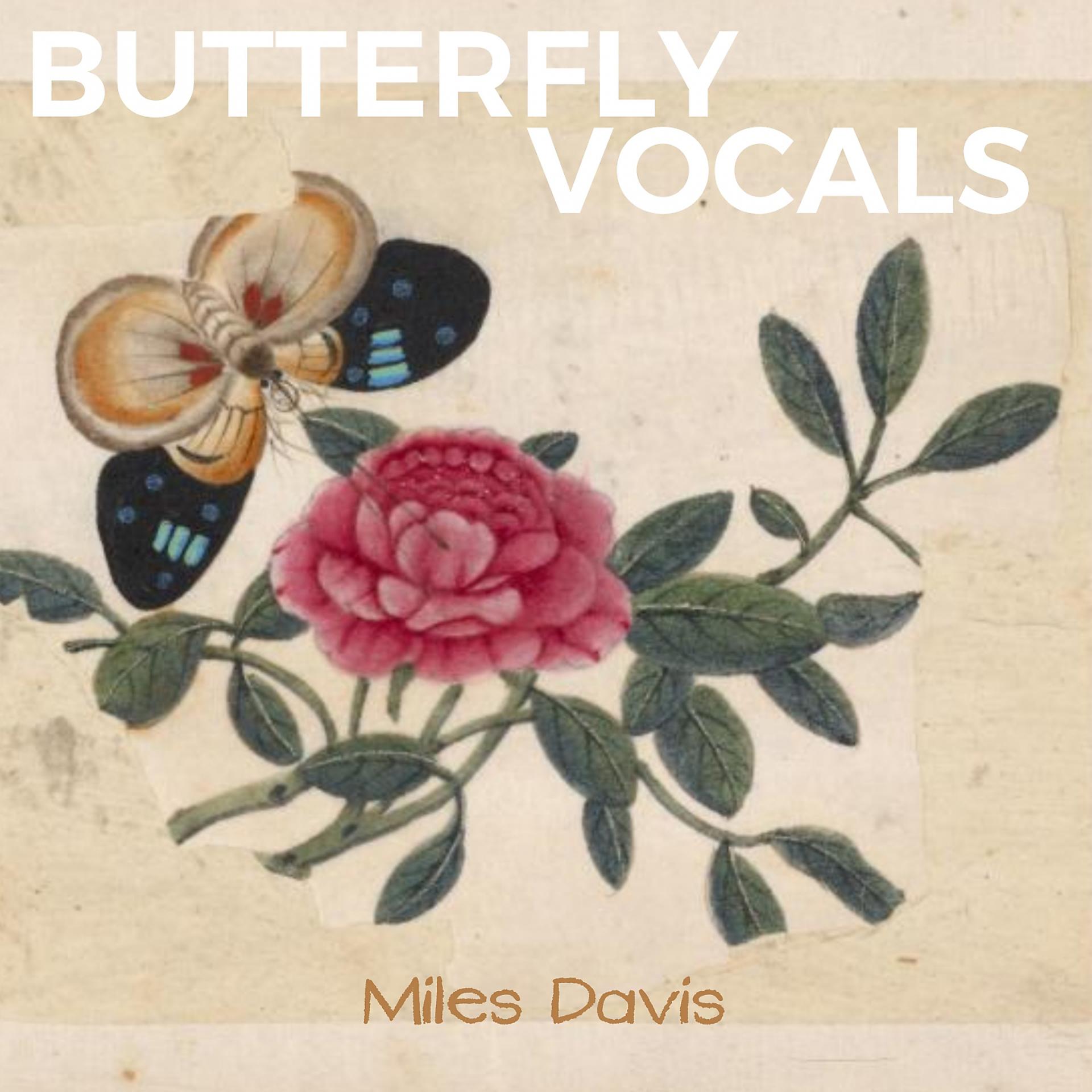 Постер альбома Butterfly Vocals