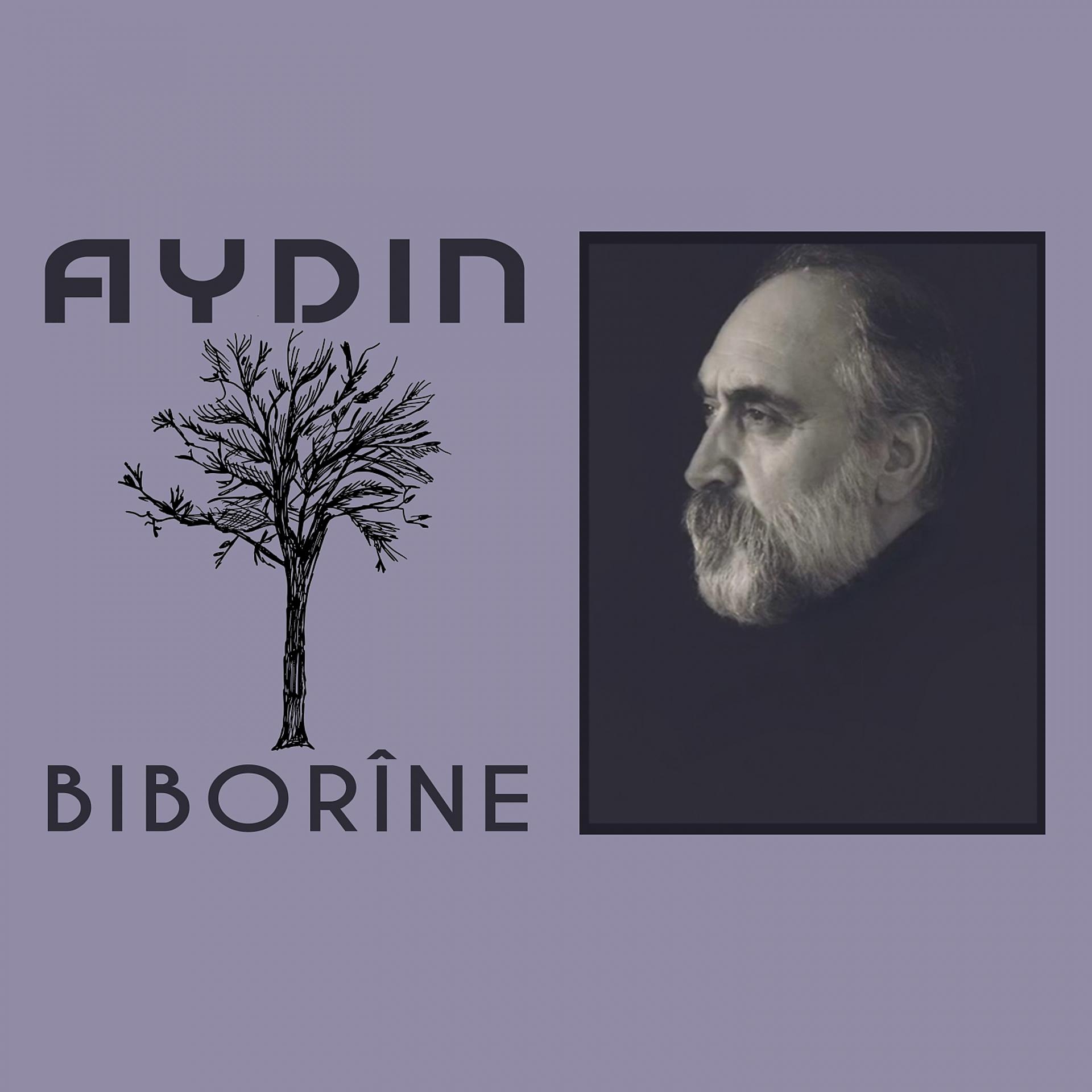 Постер альбома Biborîne