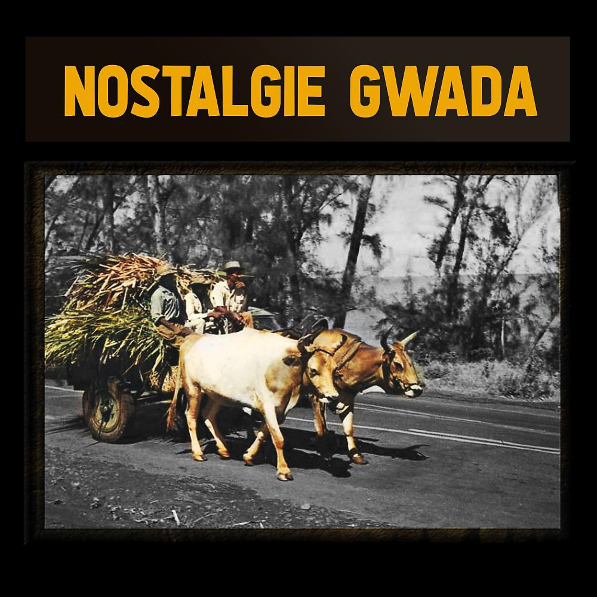 Постер альбома Nostalgie gwada