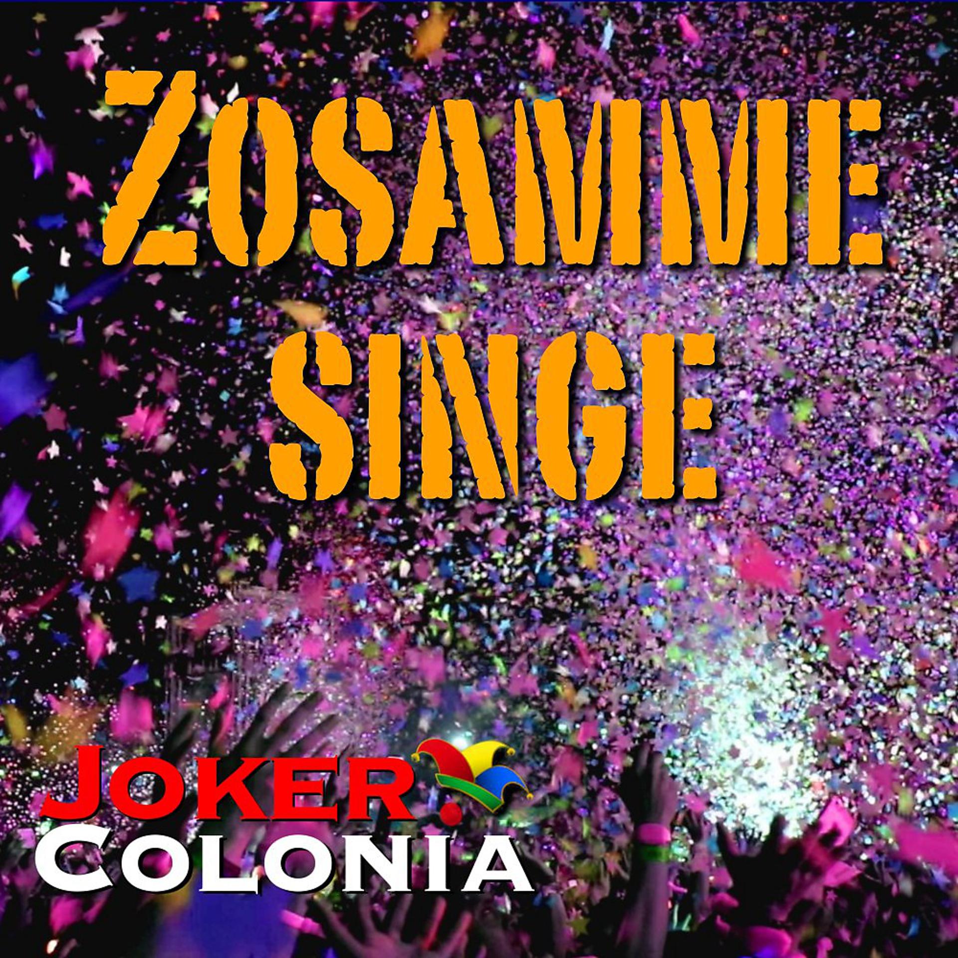 Постер альбома Zosamme singe