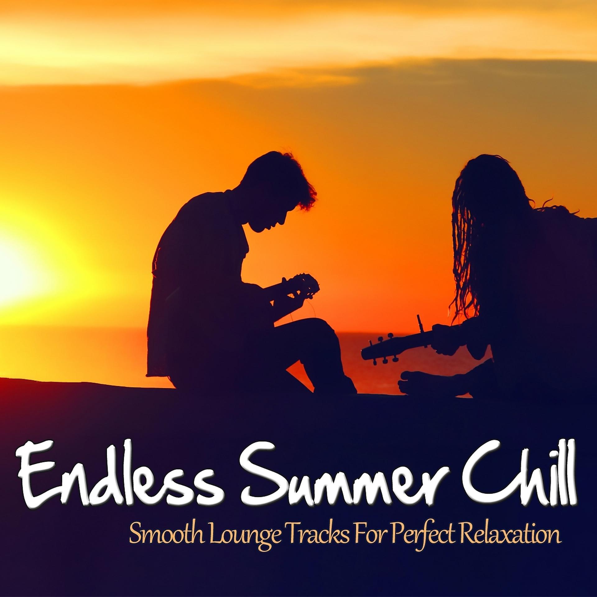 Постер альбома Endless Summer Chill