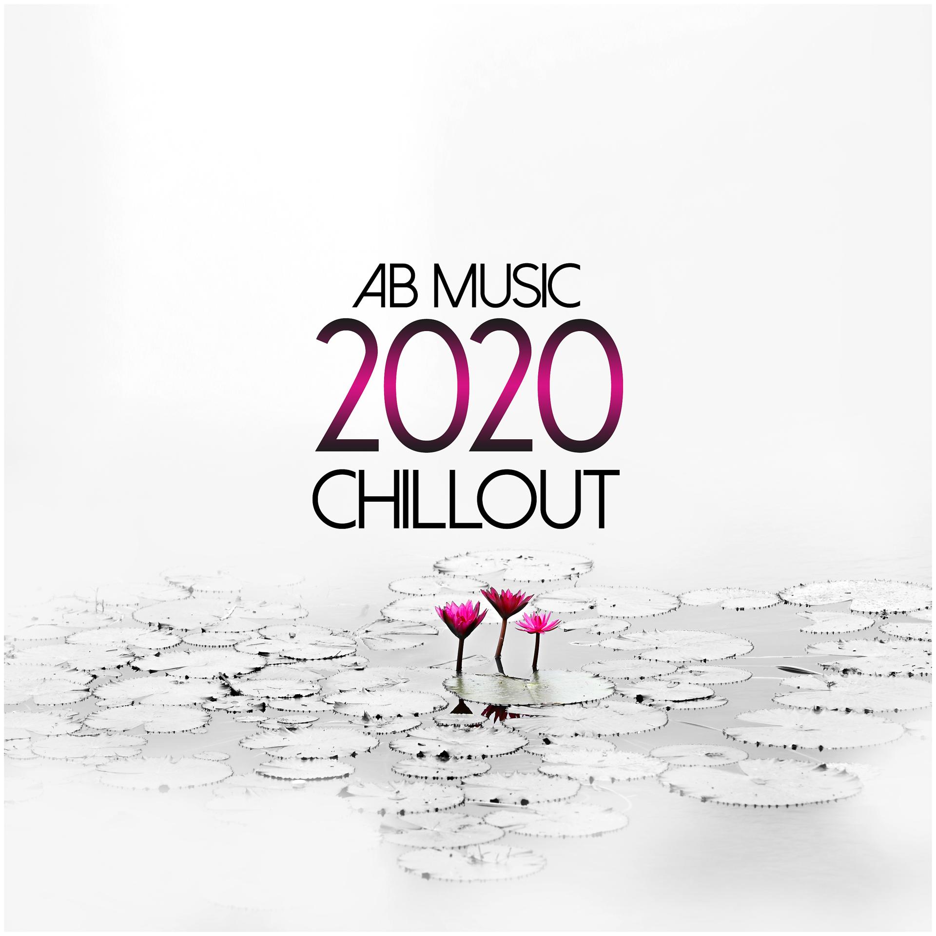 Постер альбома 2020 Chillout