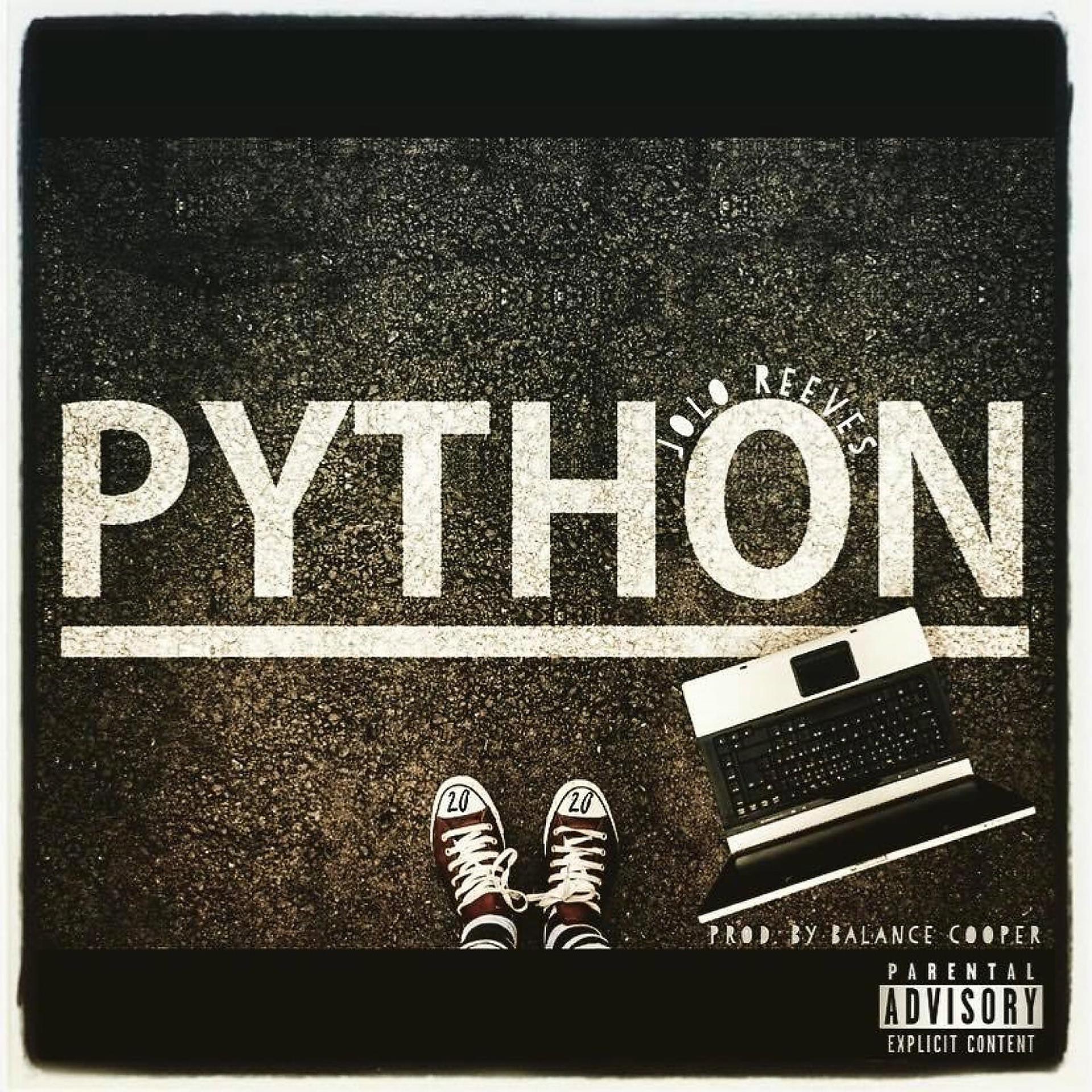 Постер альбома Python