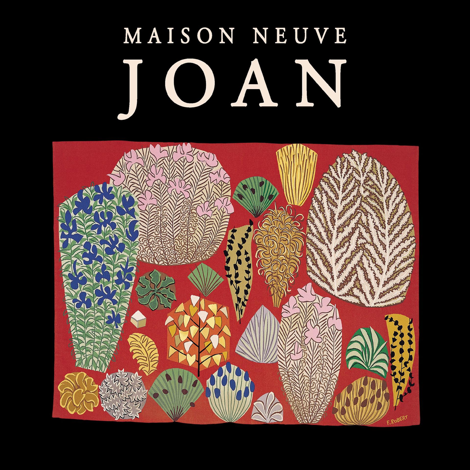 Постер альбома Joan