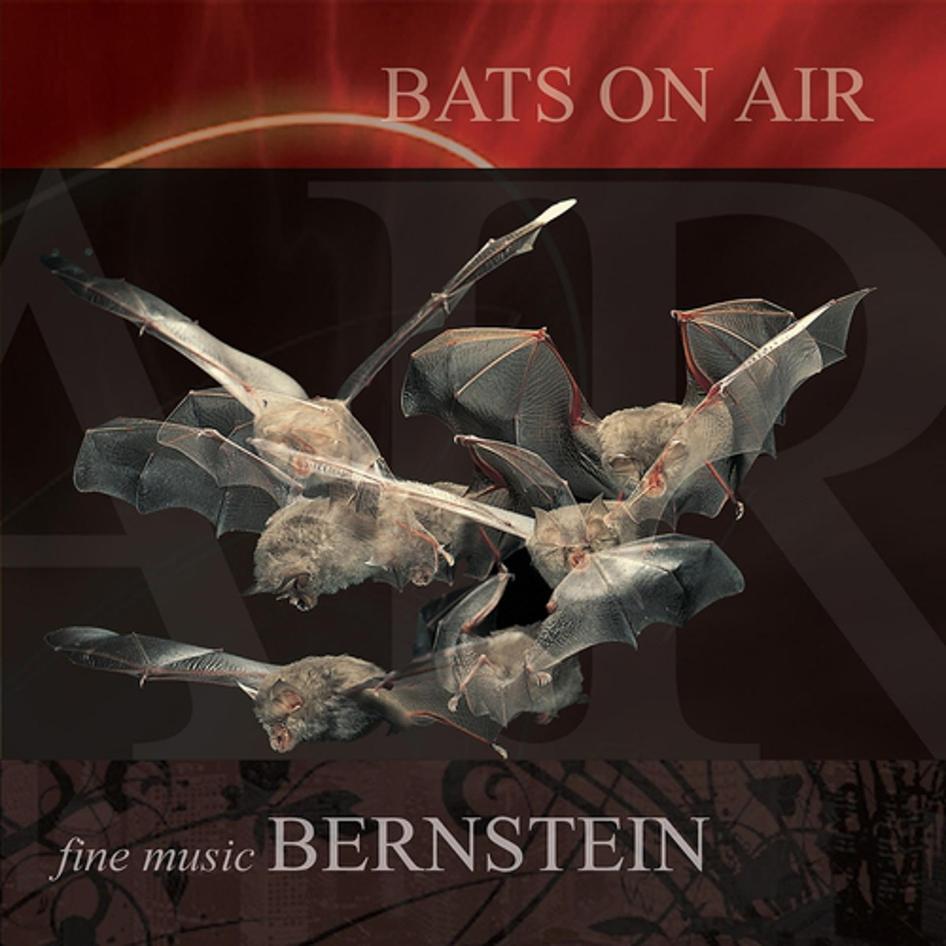 Постер альбома Bats On Air