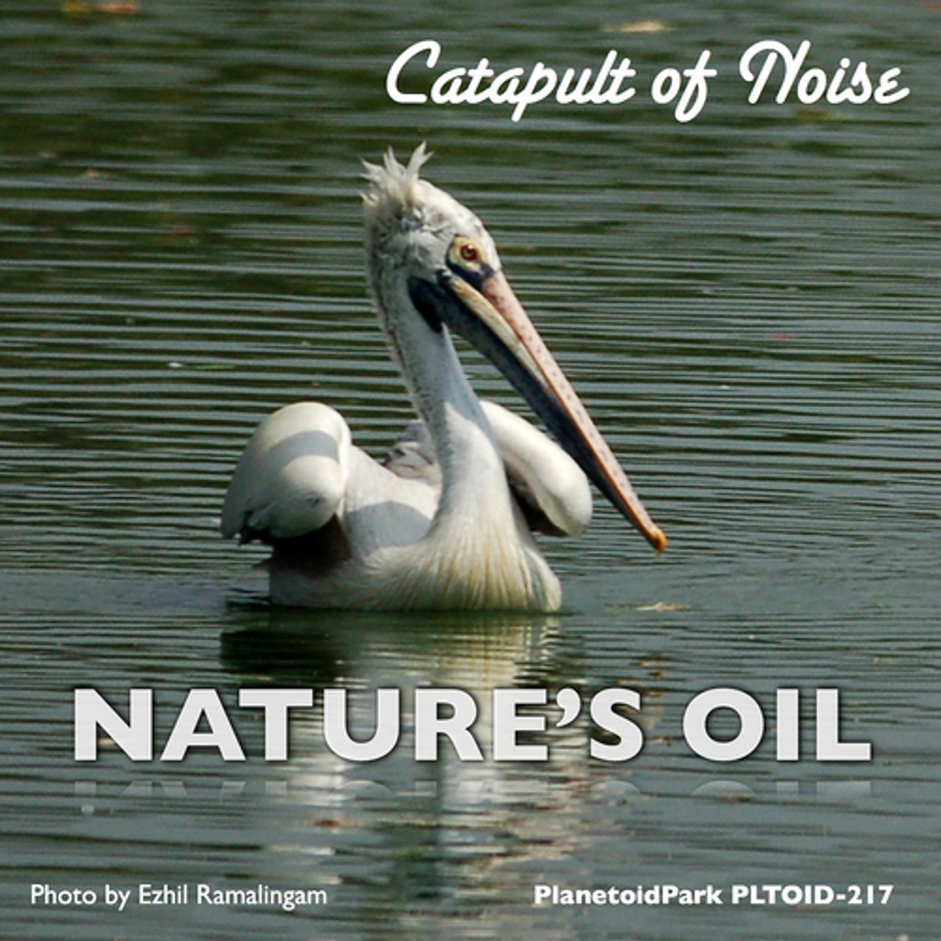Постер альбома Nature's Oil
