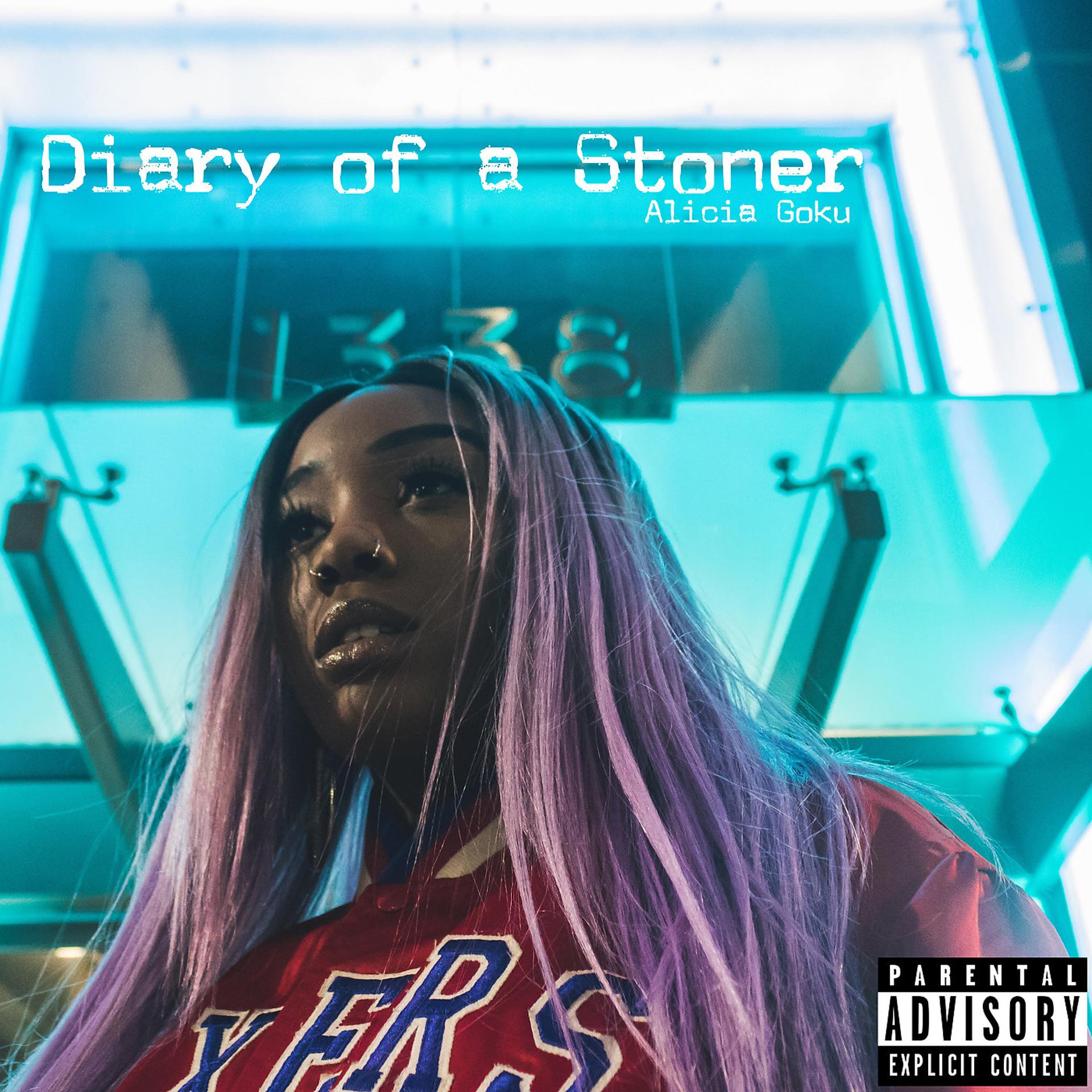Постер альбома Diary of a Stoner