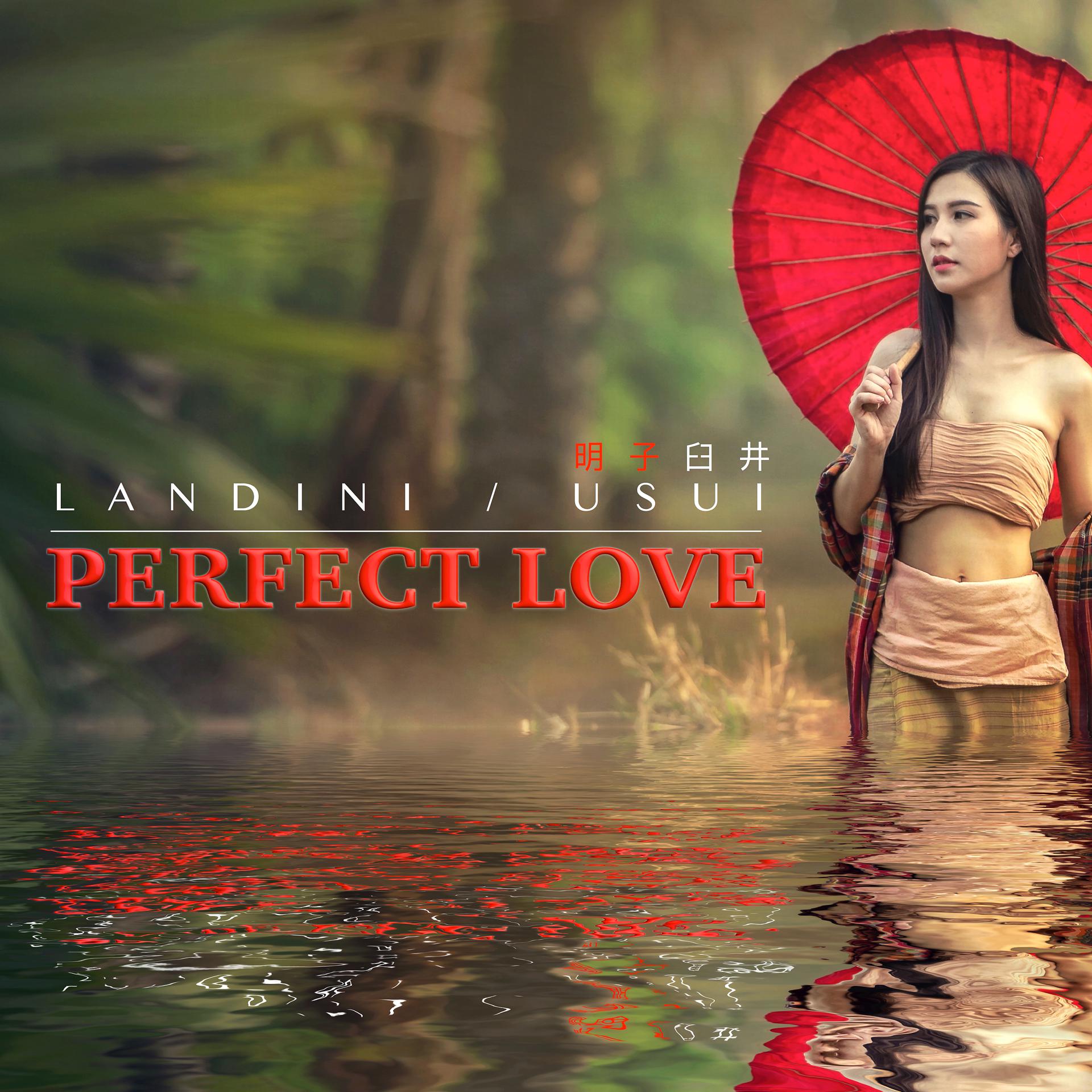 Постер альбома Perfect Love