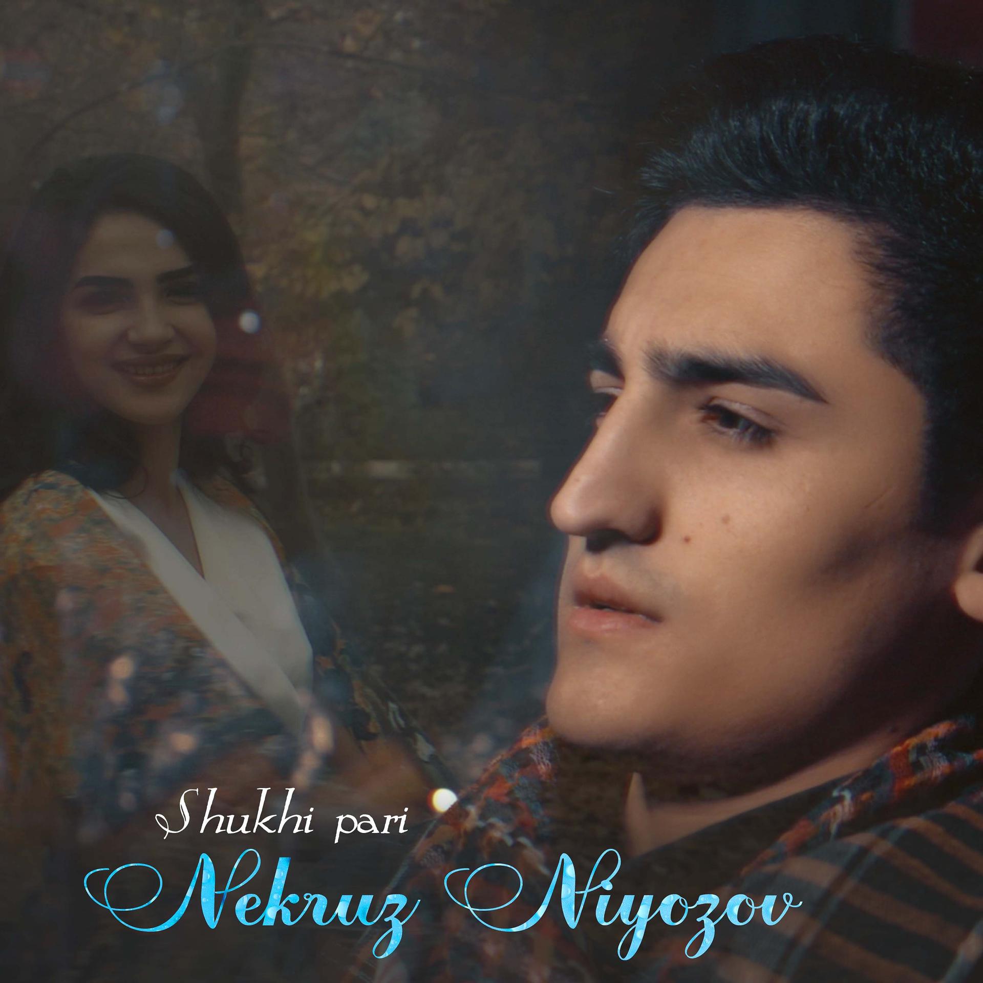 Постер альбома Shukhi Pari