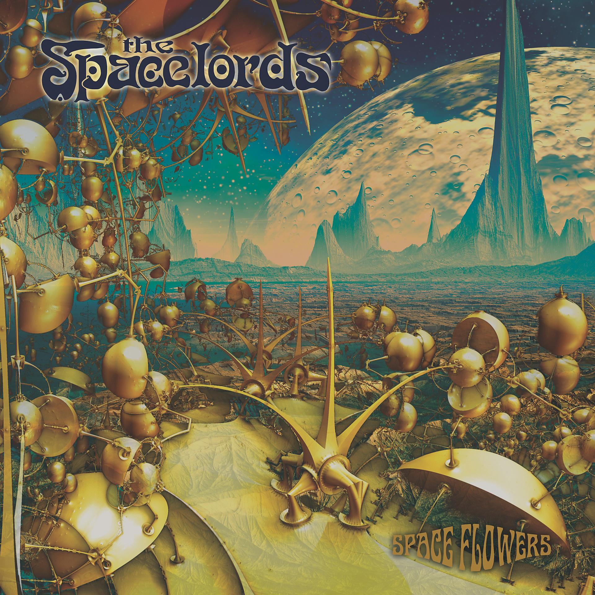 Постер альбома Spaceflowers