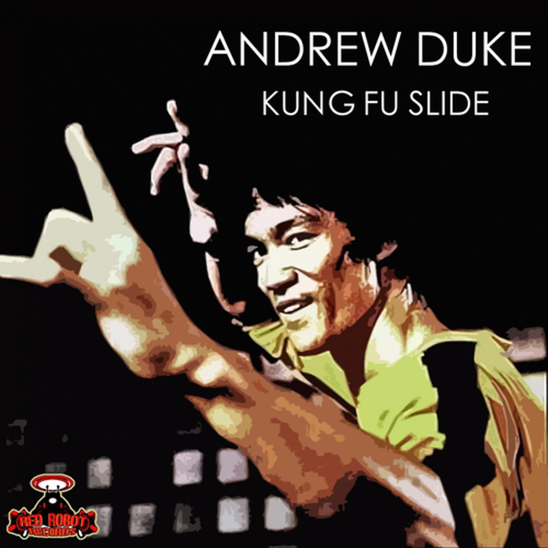 Постер альбома Kung Fu Slide