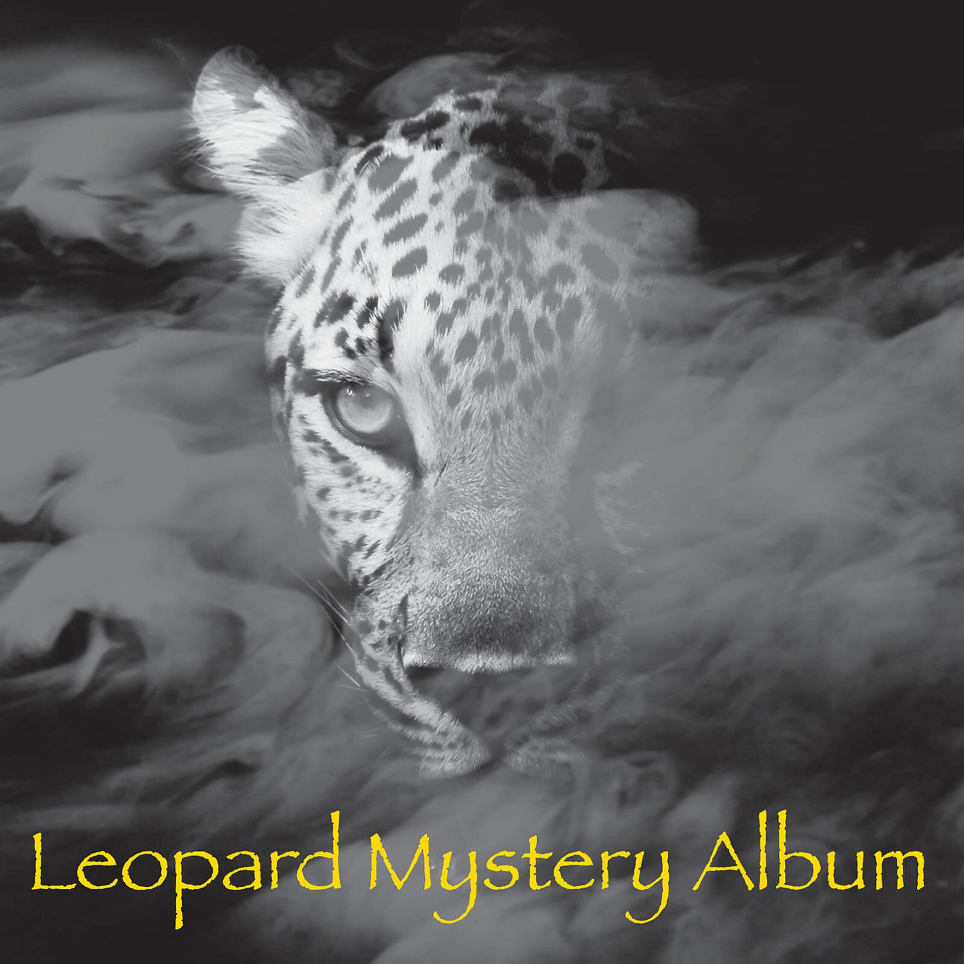 Постер альбома Leopard Mystery Album