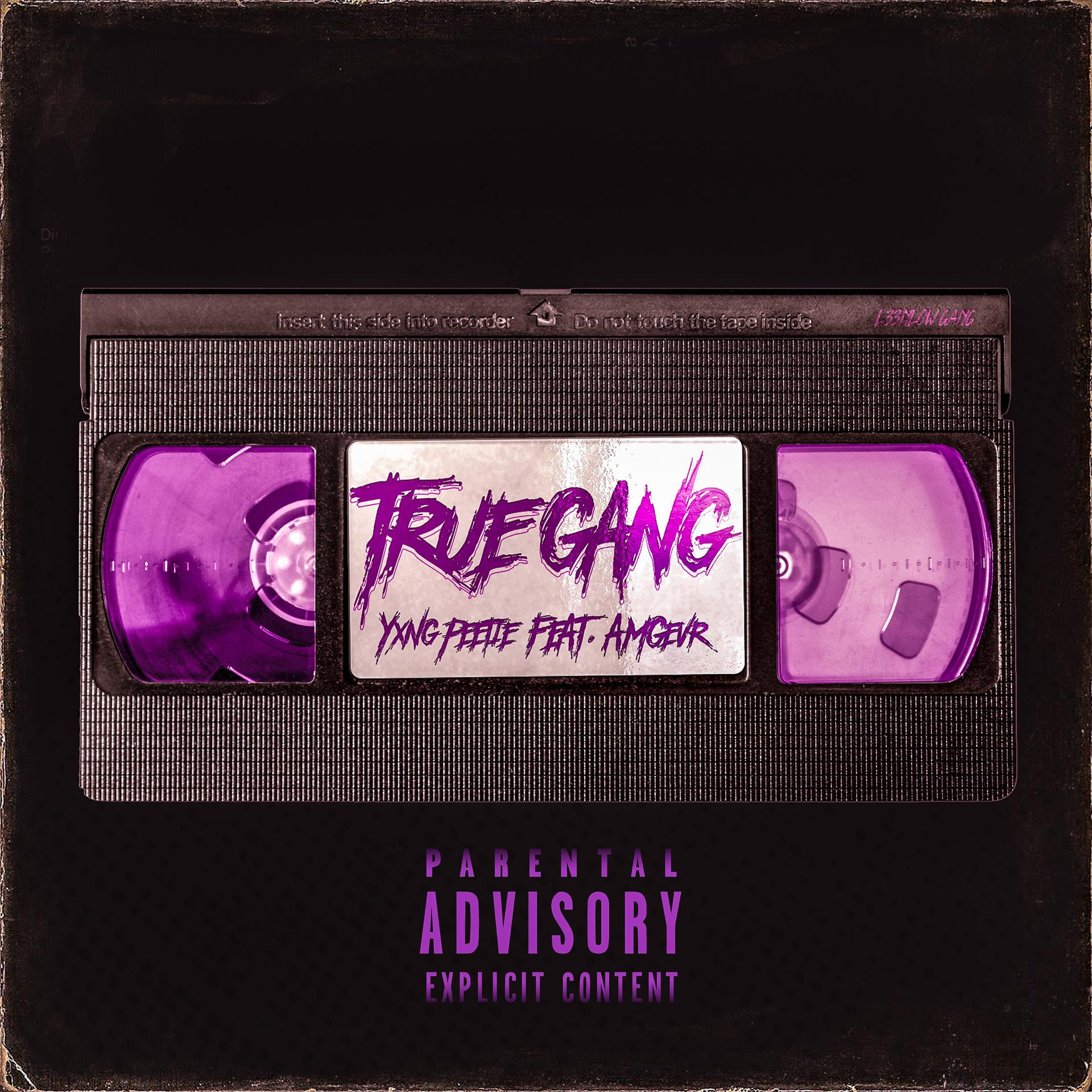 Постер альбома True Gang (feat. Amgevr)