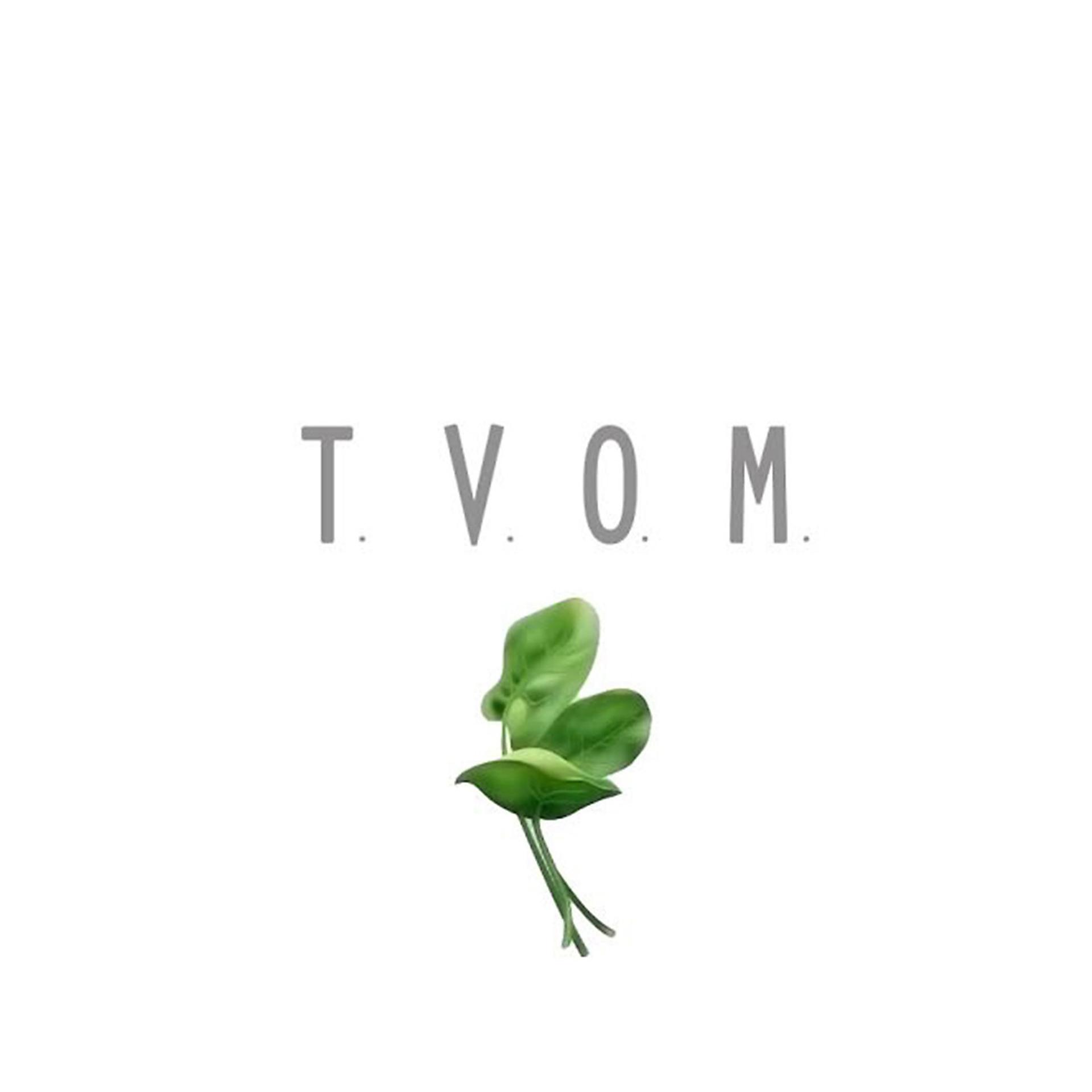 Постер альбома T.V.O.M