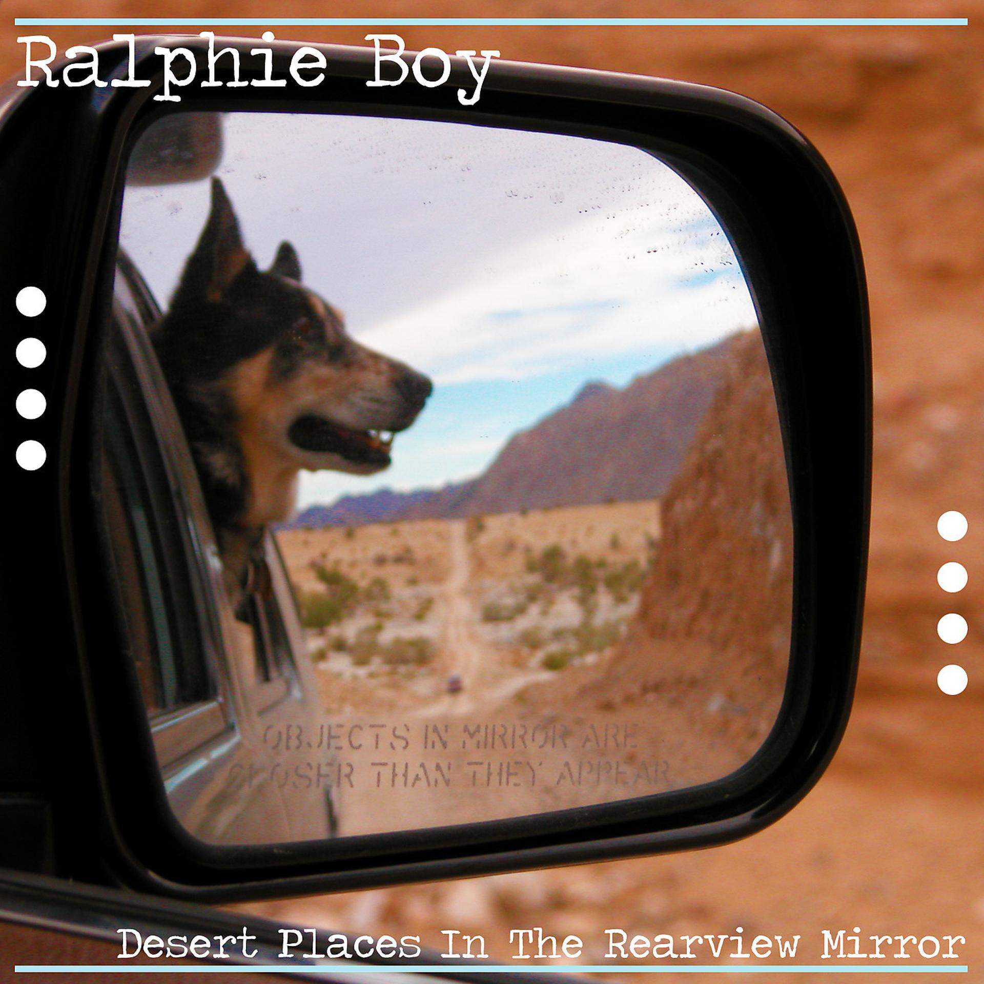 Постер альбома Desert Places in the Rearview Mirror