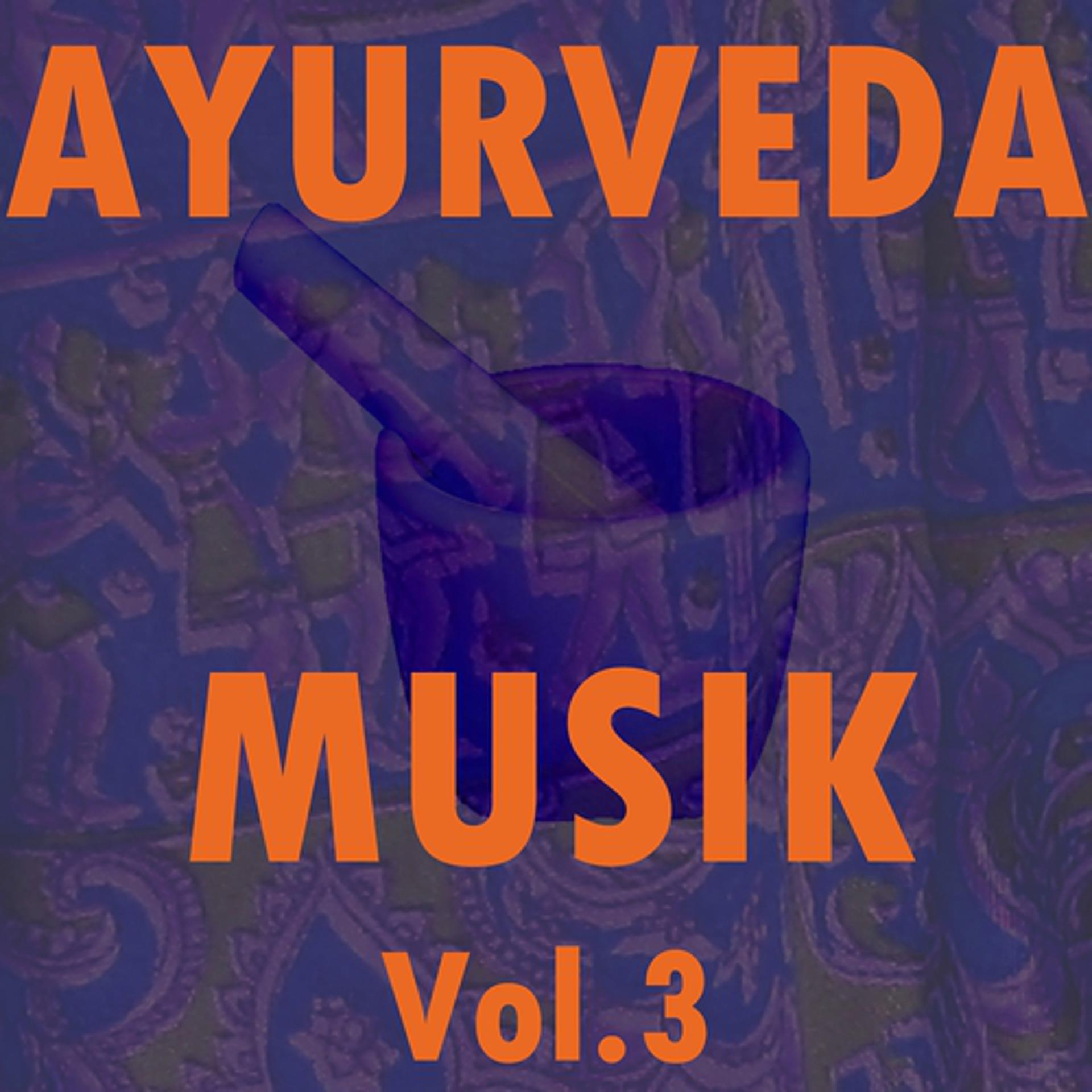 Постер альбома Ayurveda musik, vol. 3