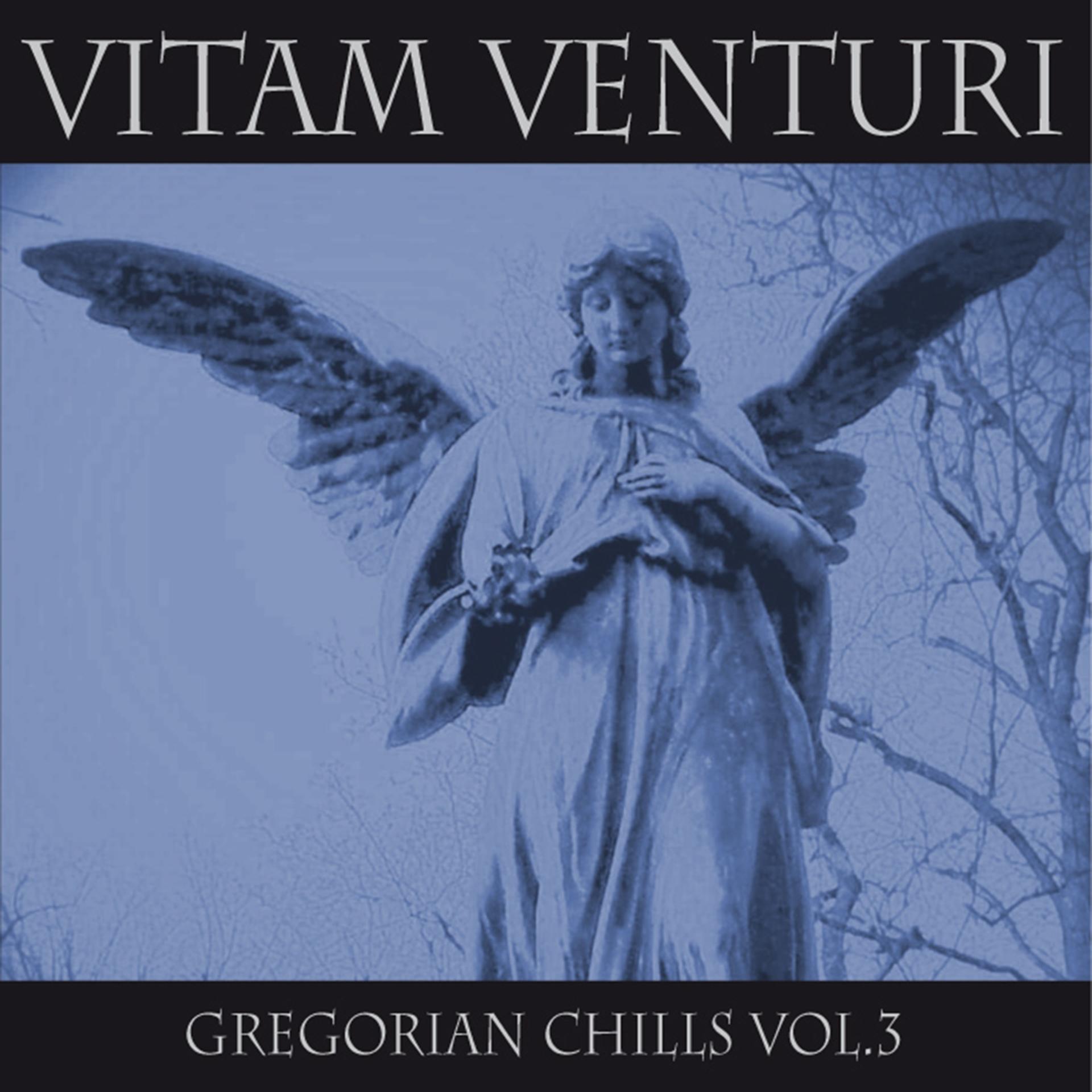 Постер альбома Gregorian Chills, Vol.3