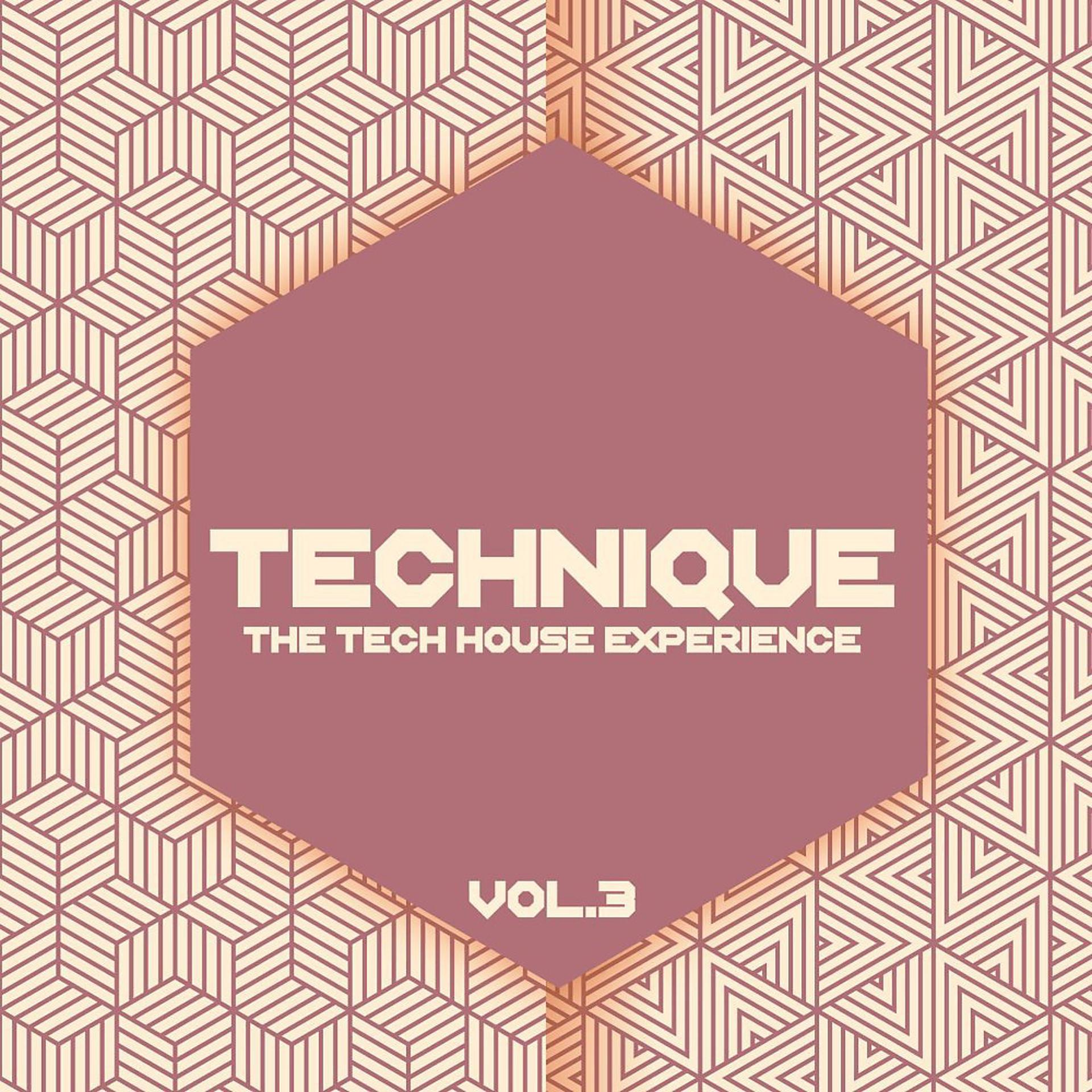 Постер альбома Technique, Vol. 3 (The Tech House Experience)