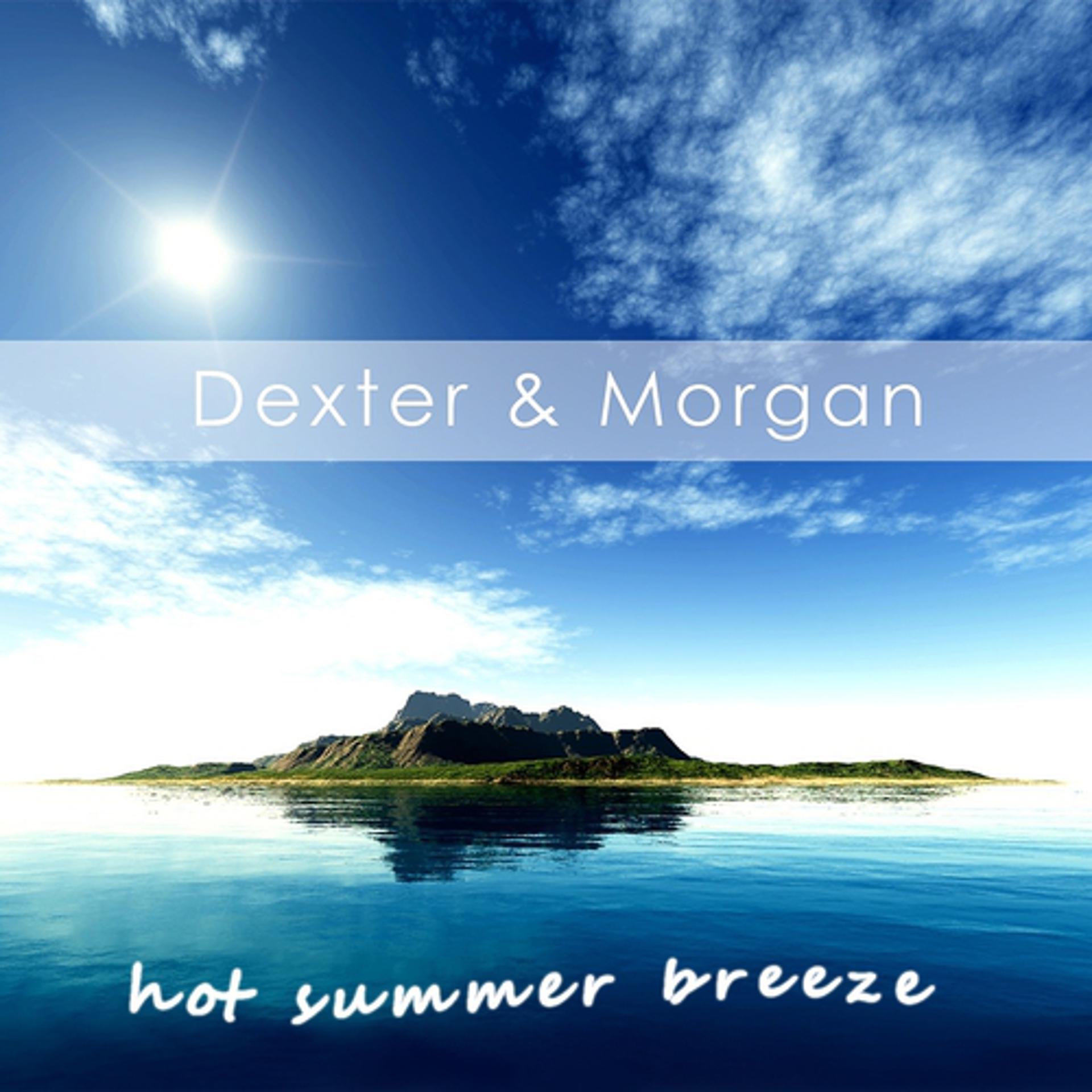 Постер альбома Hot Summer Breeze