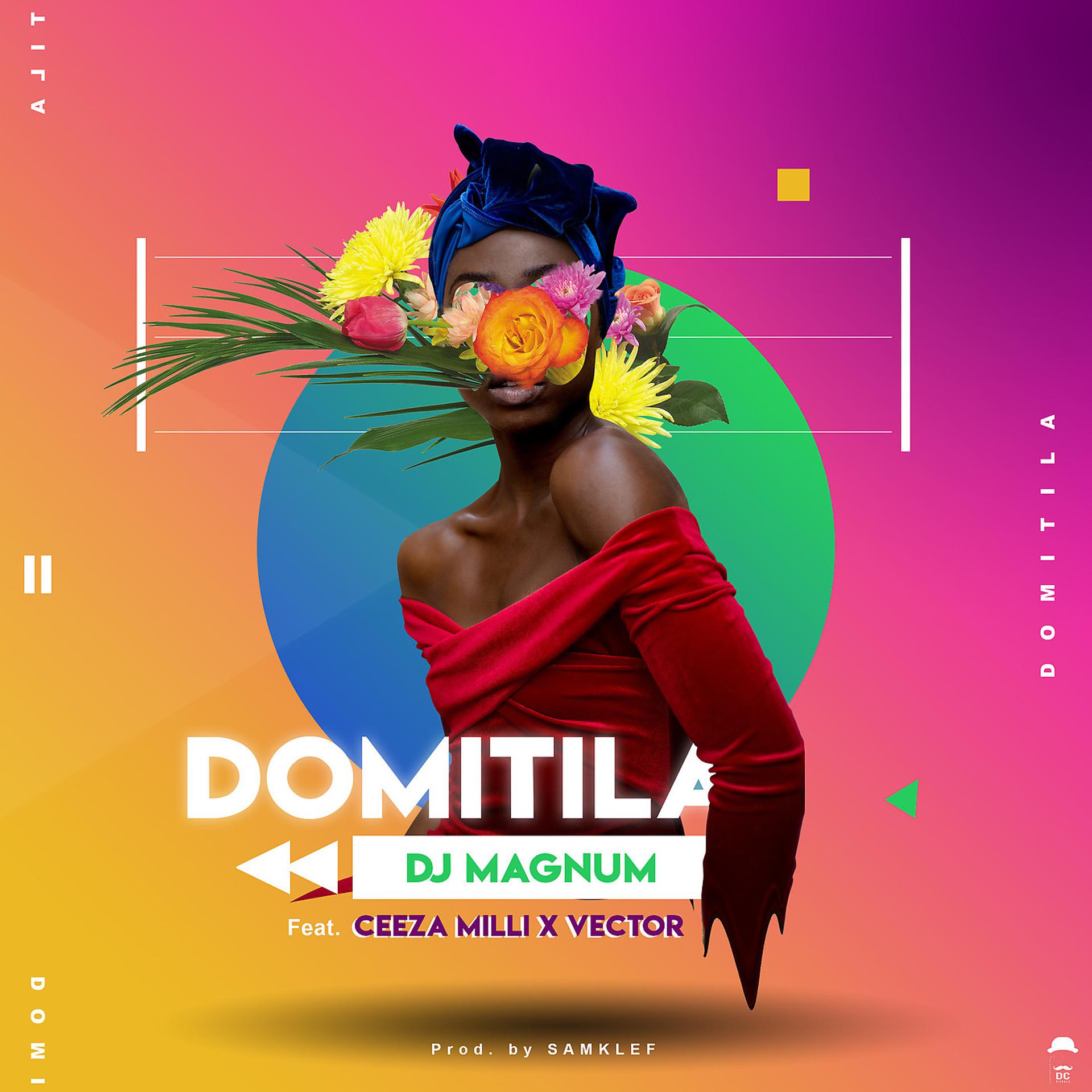 Постер альбома Domitila