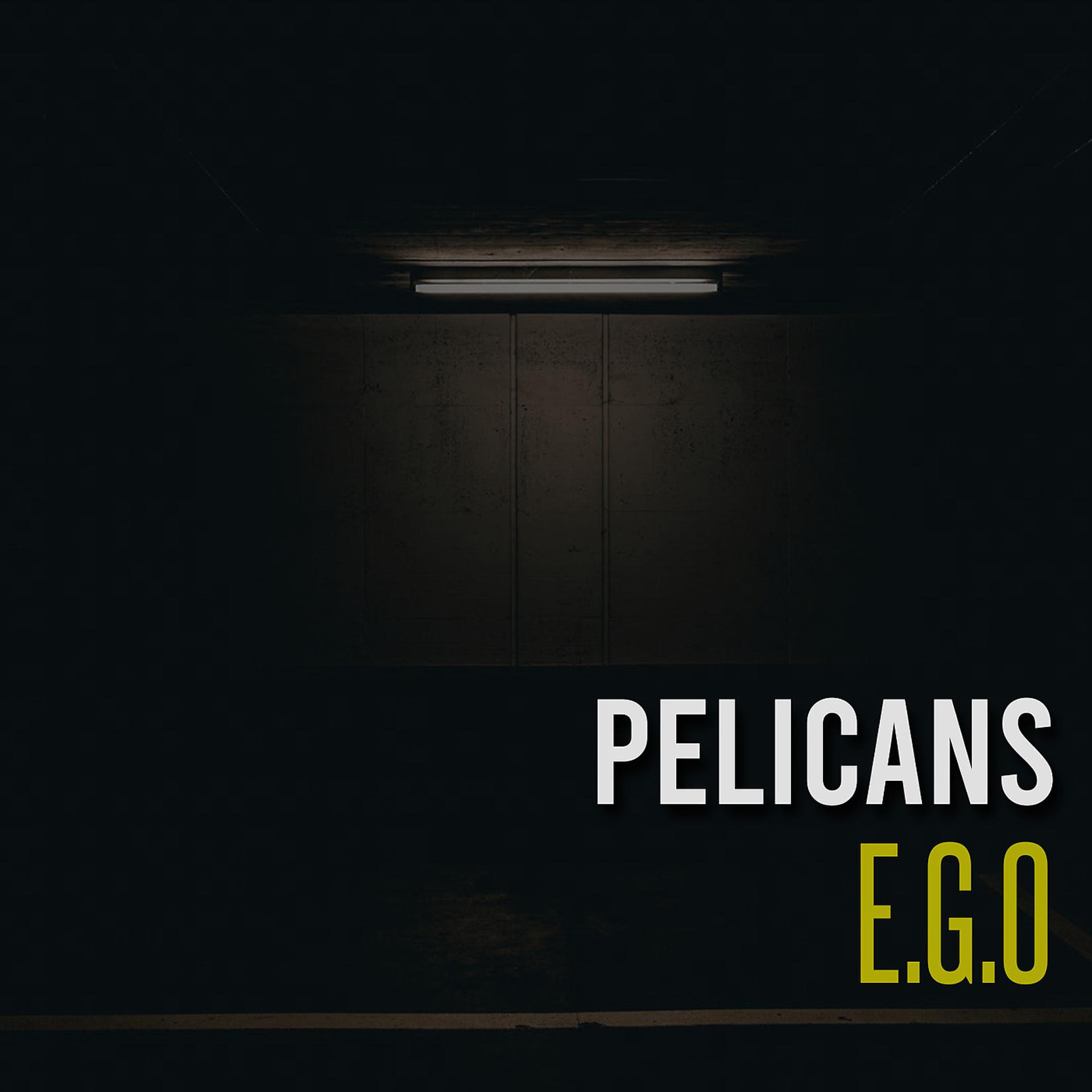 Постер альбома Pelicans