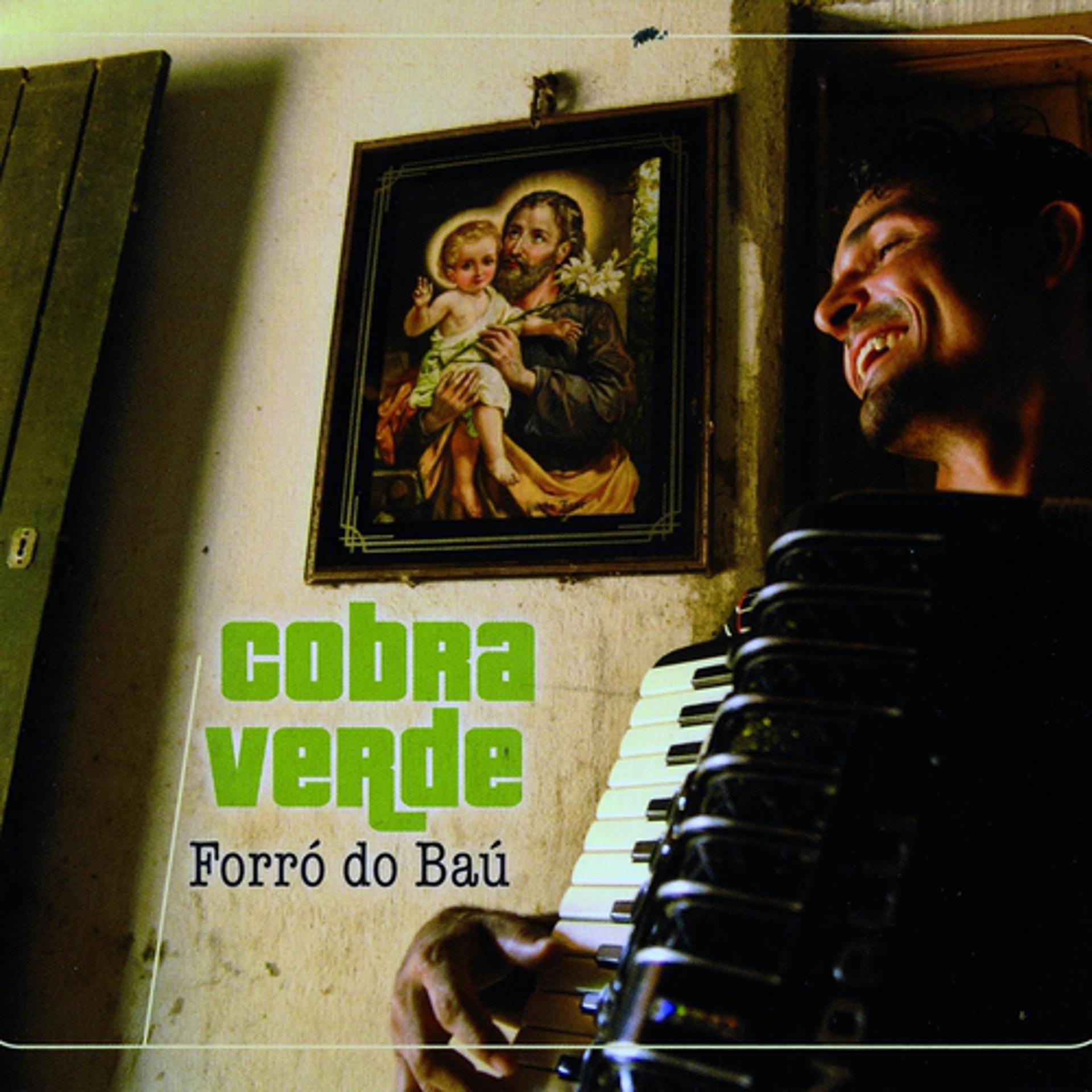 Постер альбома Forro do bau