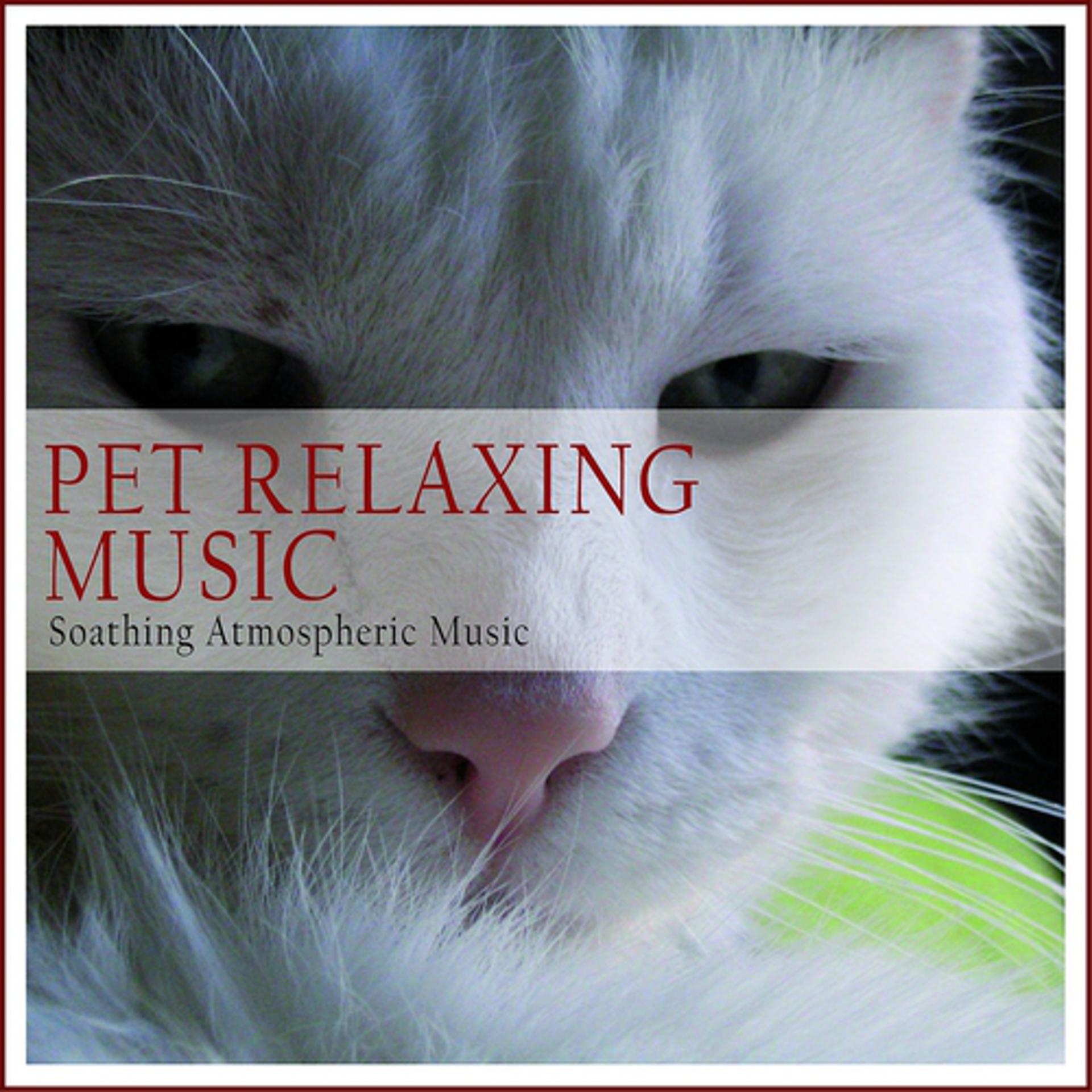 Постер альбома Pet Relaxing Music