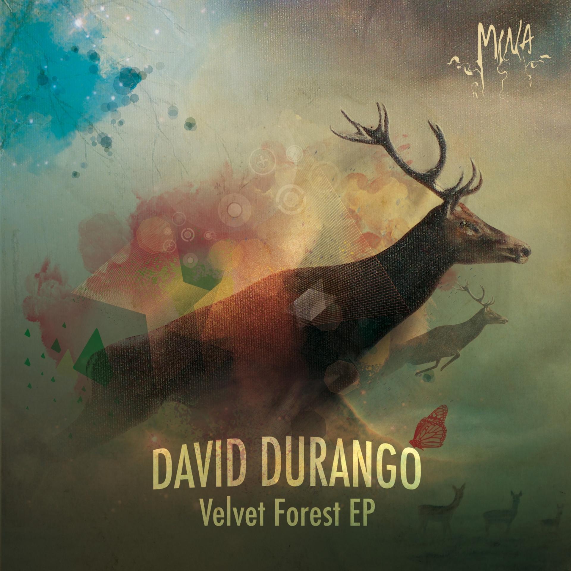 Постер альбома Velvet Forest - EP