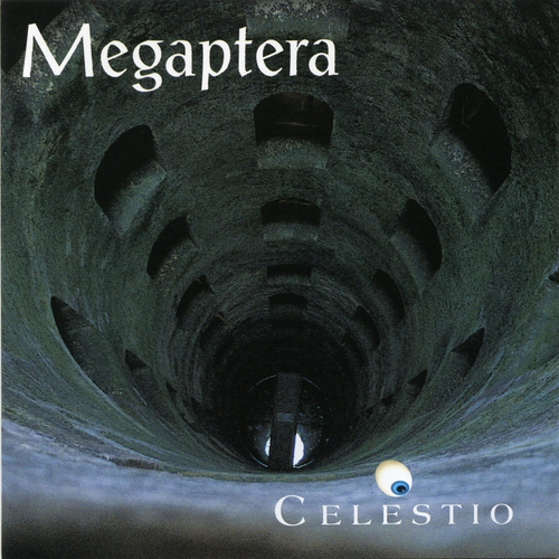 Постер альбома Megaptera
