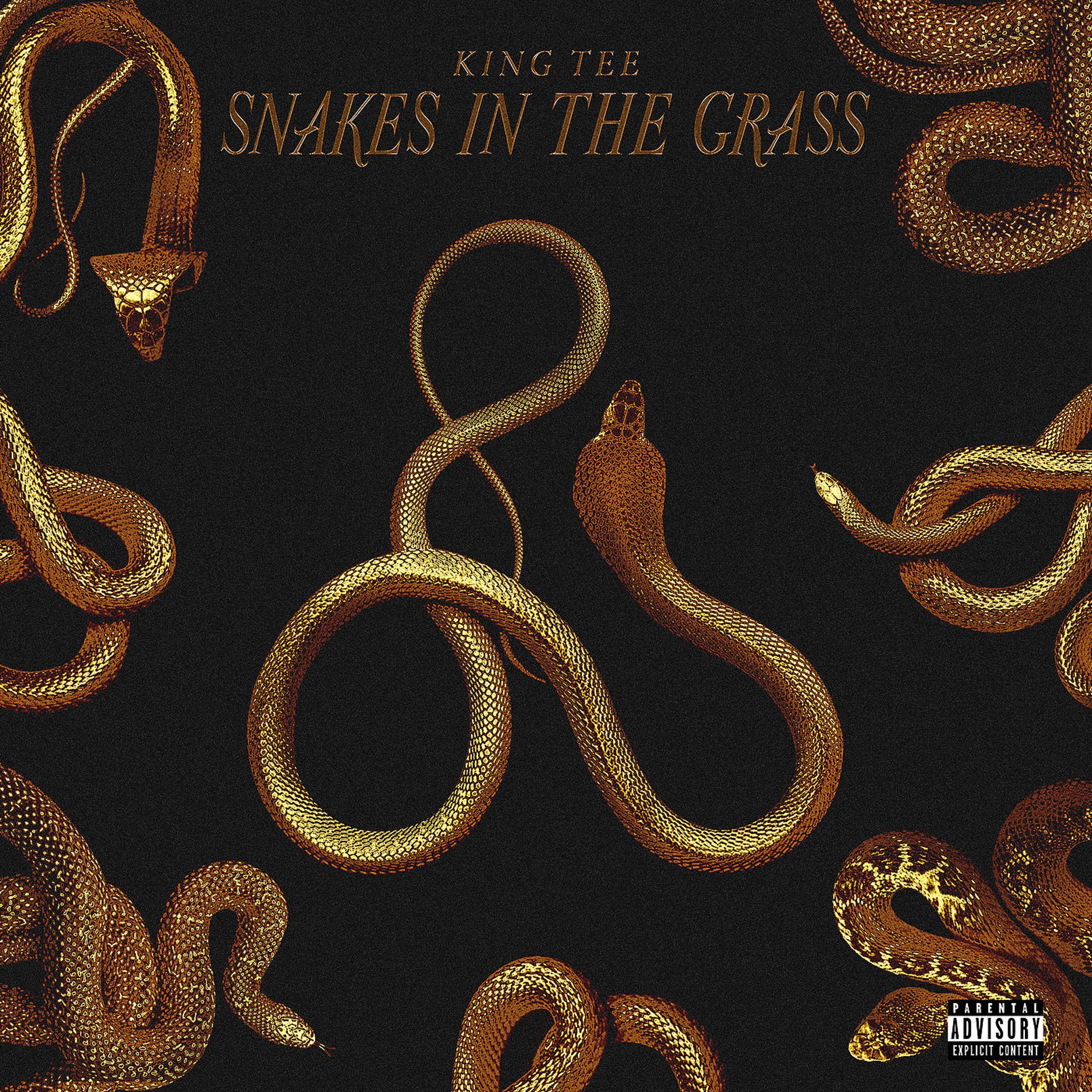 Постер альбома Snakes in the Grass