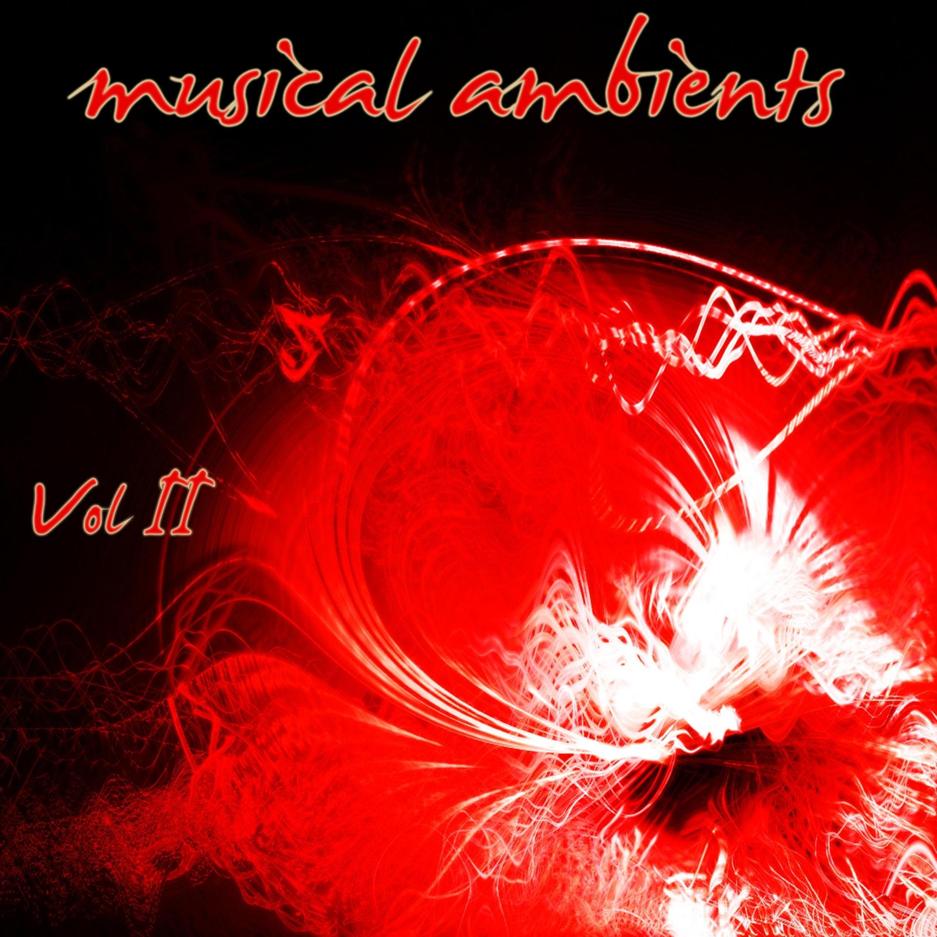 Постер альбома Musical Ambients, Vol. 2