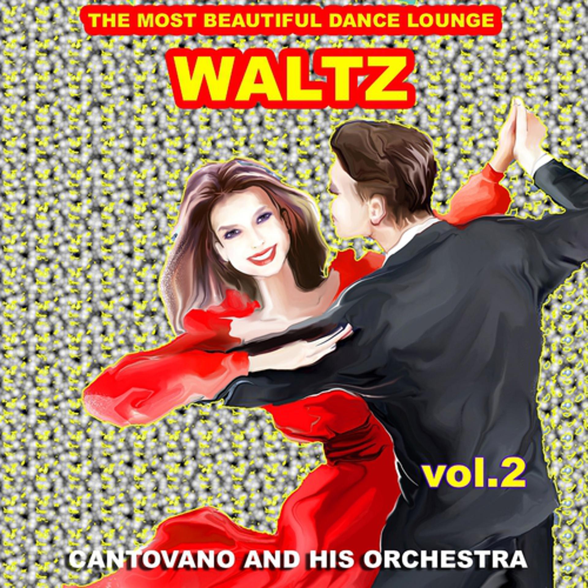 Постер альбома Waltz : The Most Beautiful Dance Lounge, Vol.2