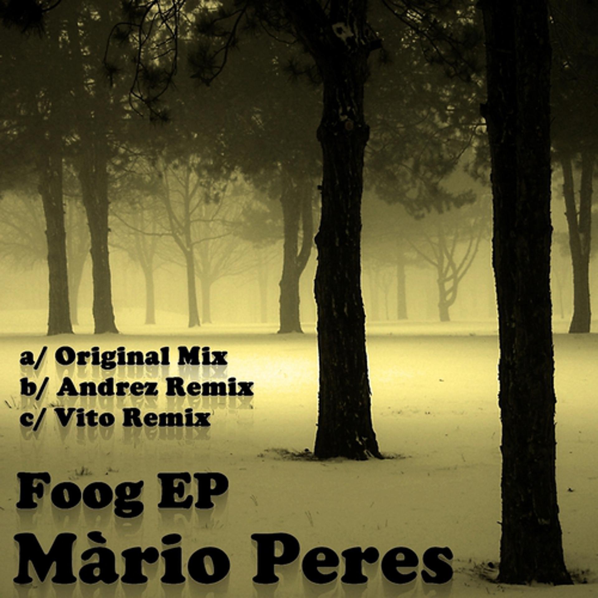 Постер альбома Foog Remixes - EP