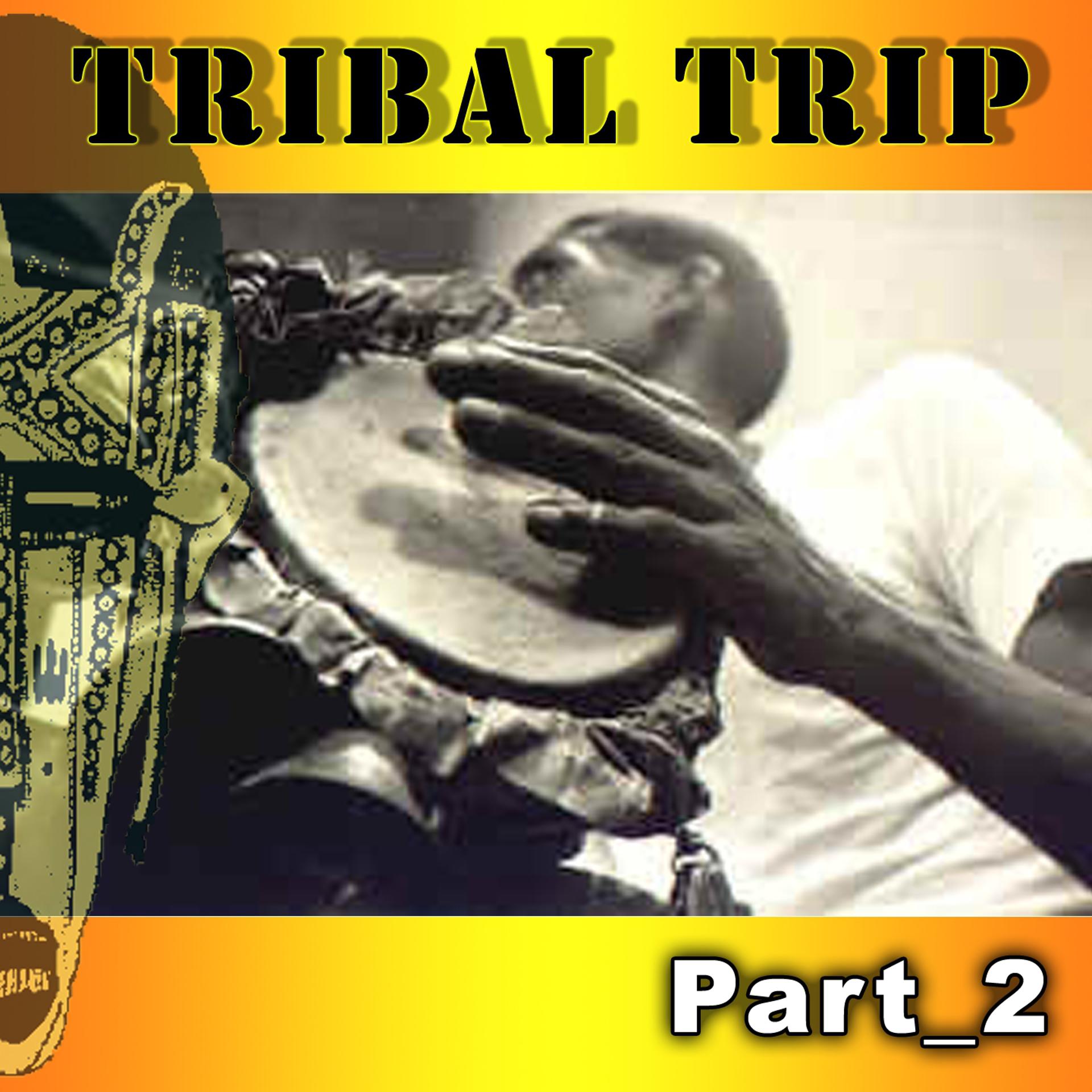Постер альбома Tribal Trip, Part. 2