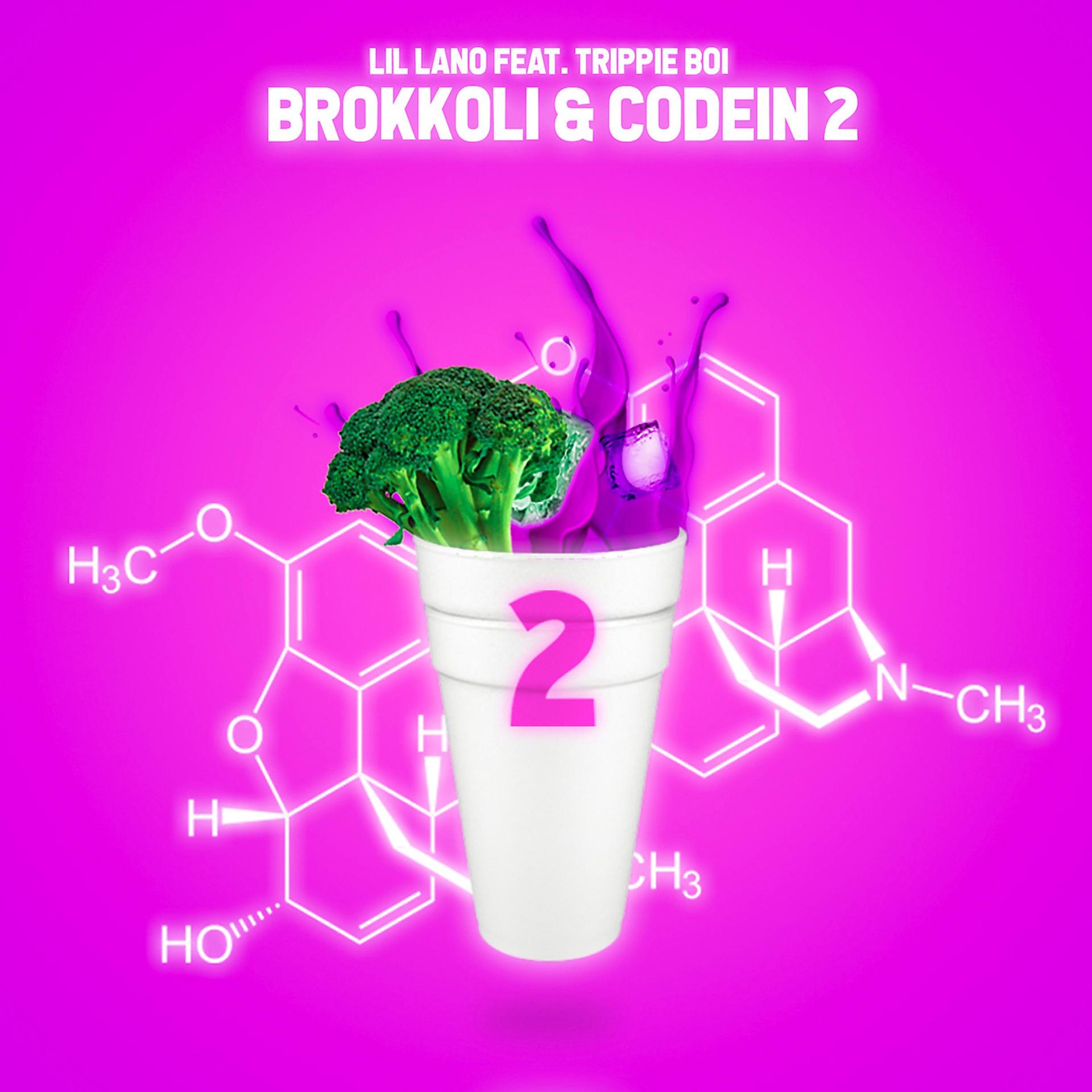 Постер альбома Brokkoli + Codein 2.0