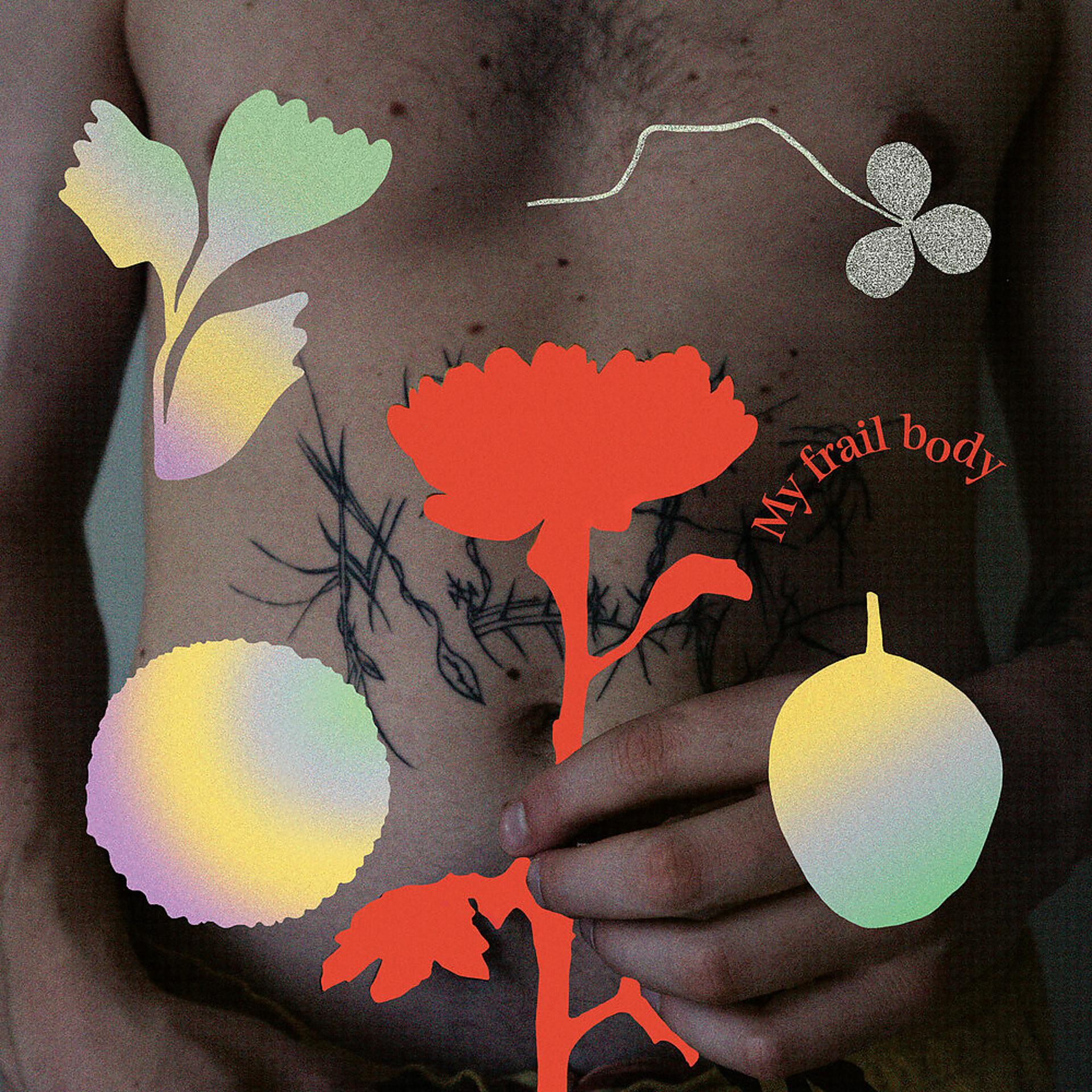 Постер альбома My Frail Body