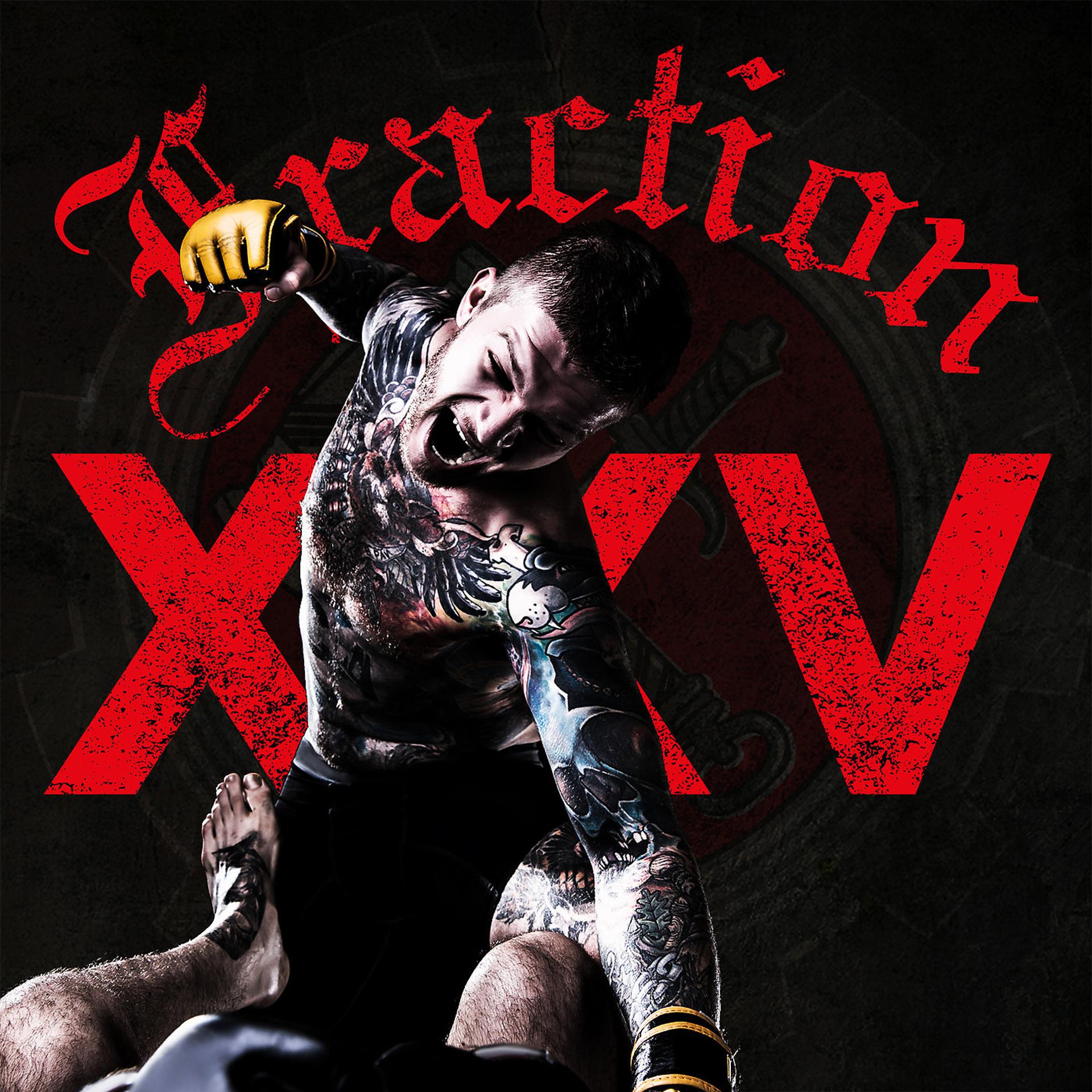Постер альбома Fraction XXV