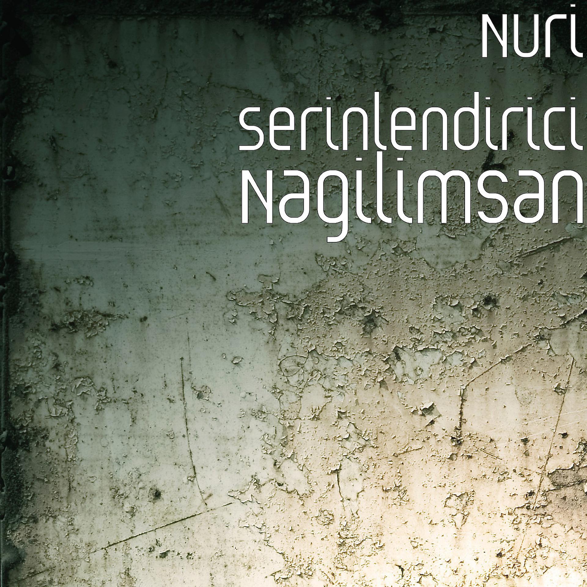 Постер альбома Nagilimsan