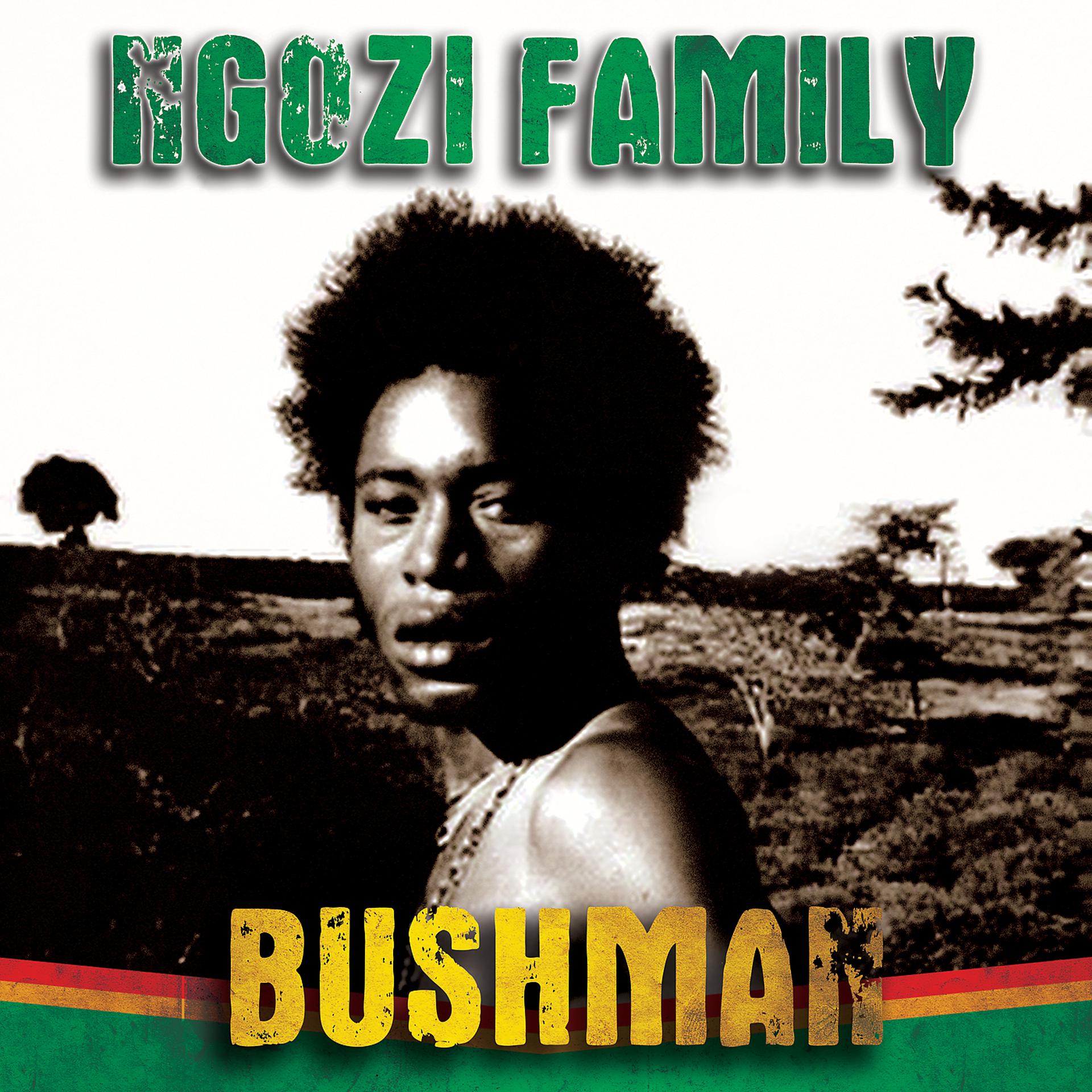 Постер альбома Bushman
