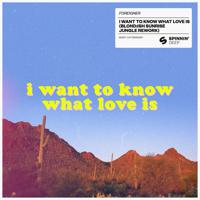 Постер альбома I Want To Know What Love Is (BLOND:ISH Sunrise Jungle Rework)