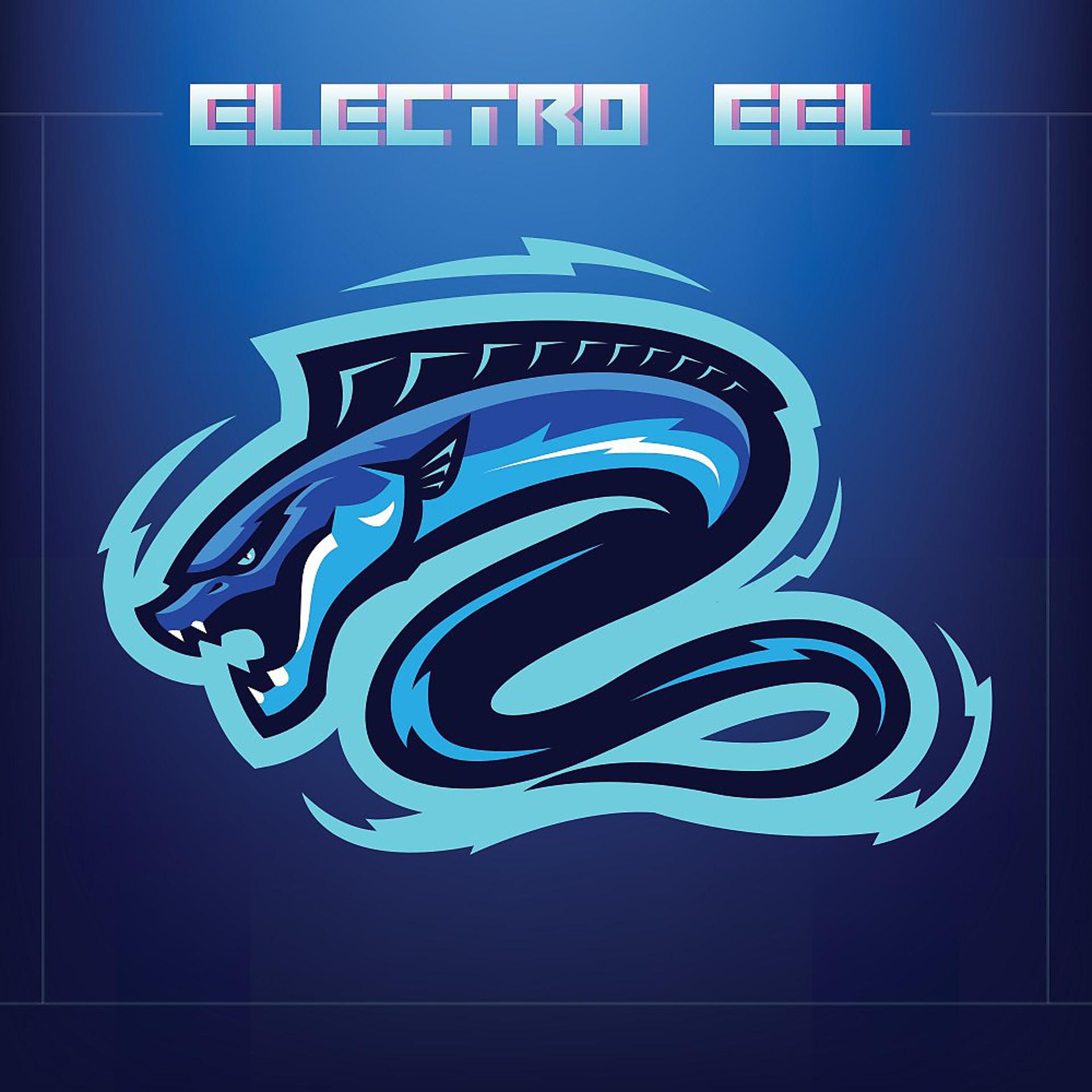 Постер альбома Electro Eel