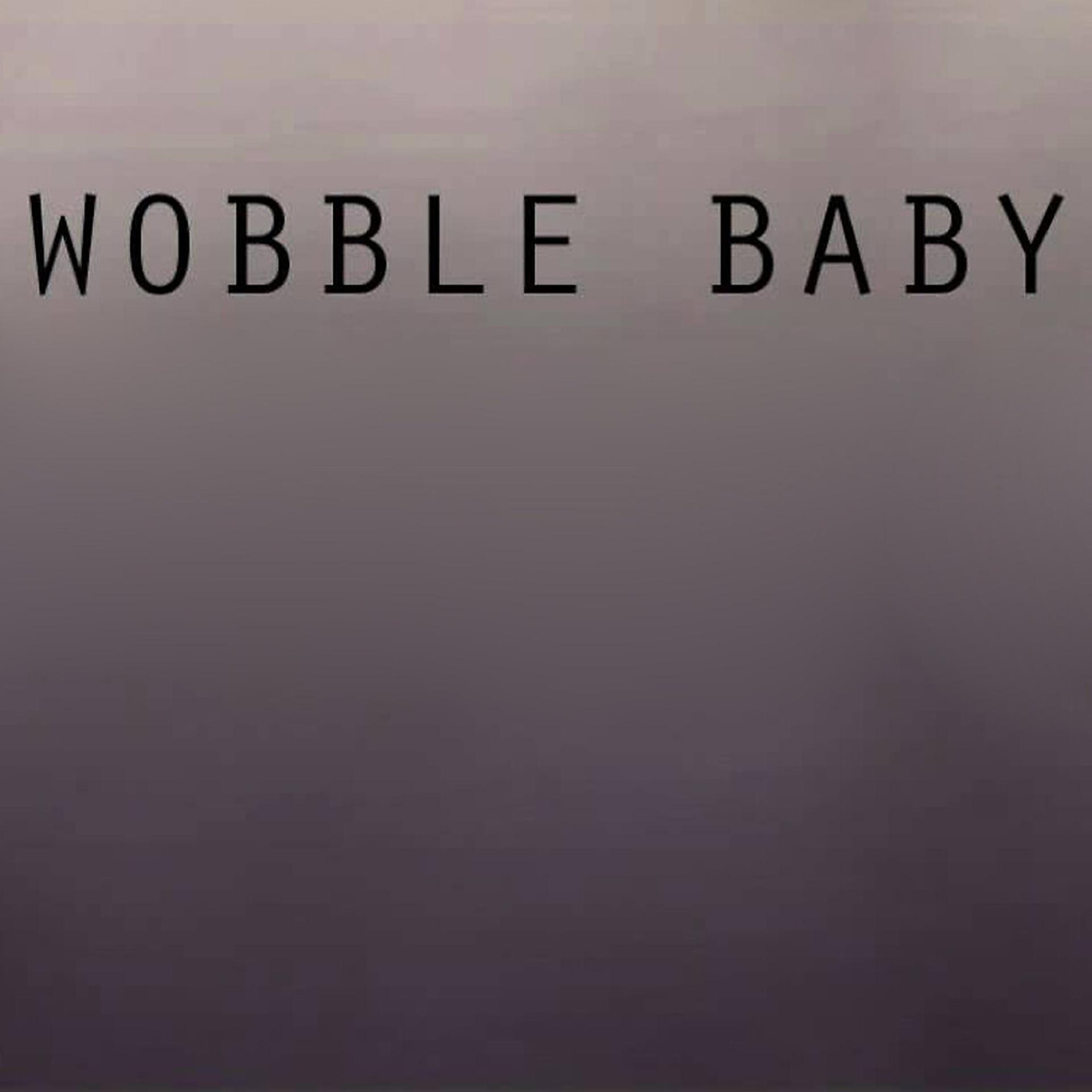 Постер альбома The Wobble Baby (Originally Performed By Get In There V.I.C.)