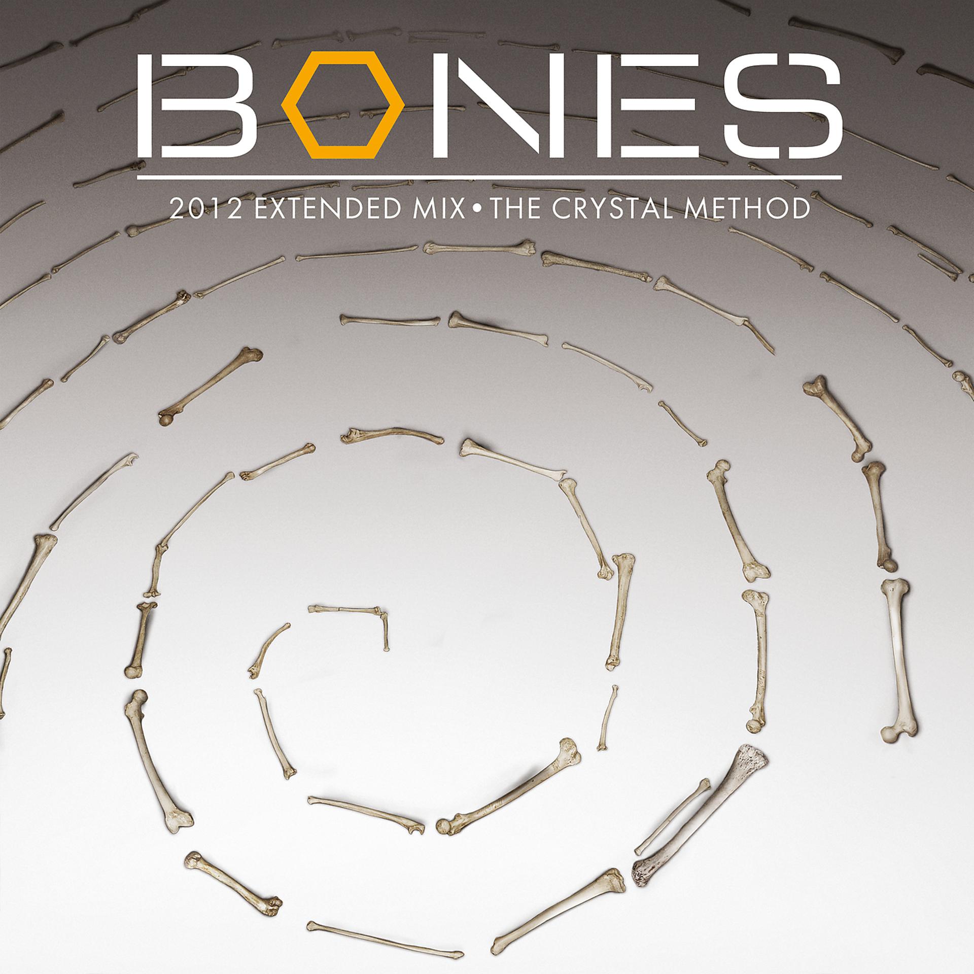 Постер альбома Bones Theme
