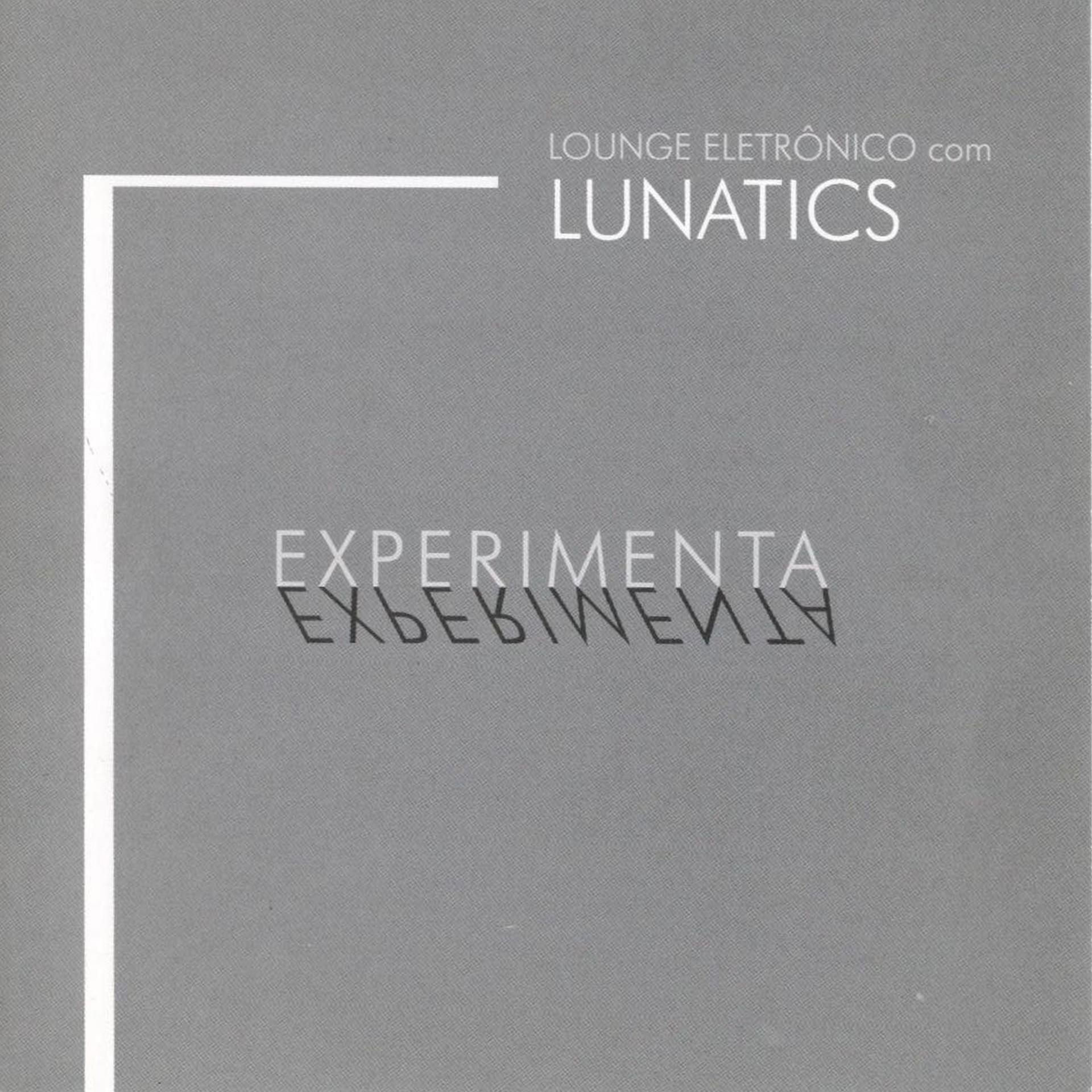 Постер альбома Experimenta Lounge Eletrônico