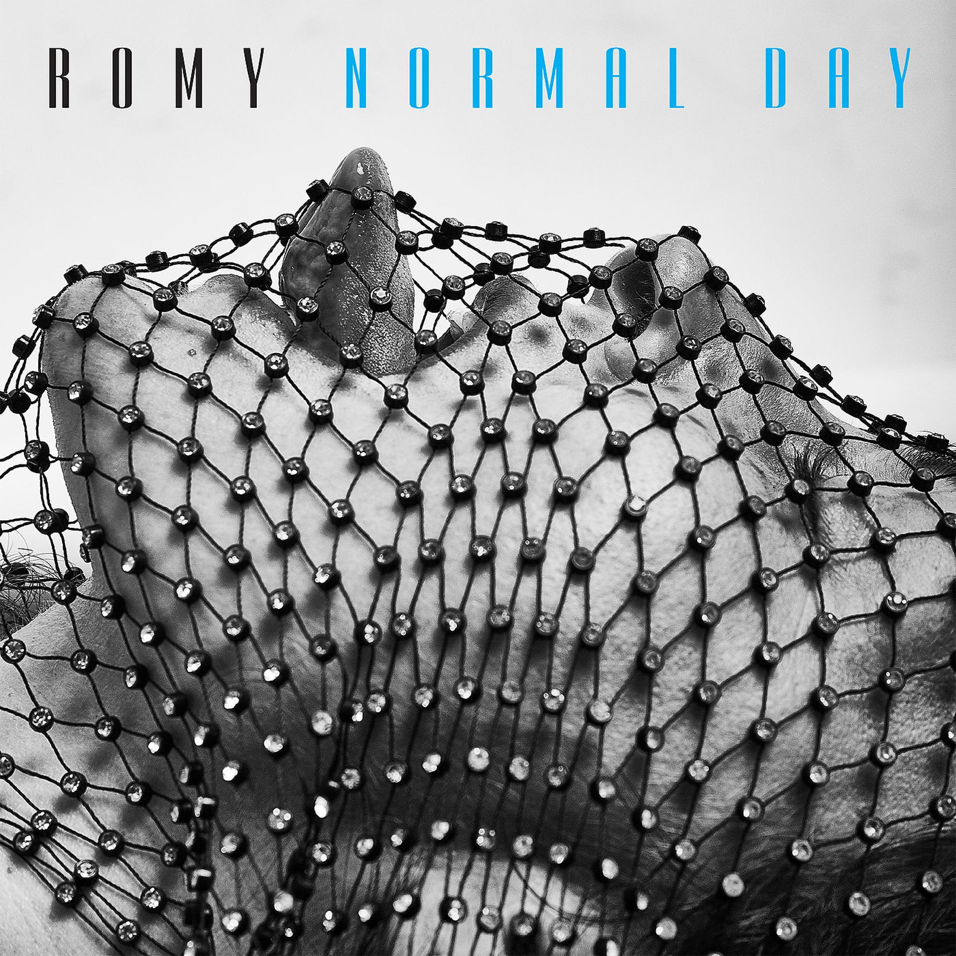 Постер альбома Normal Day
